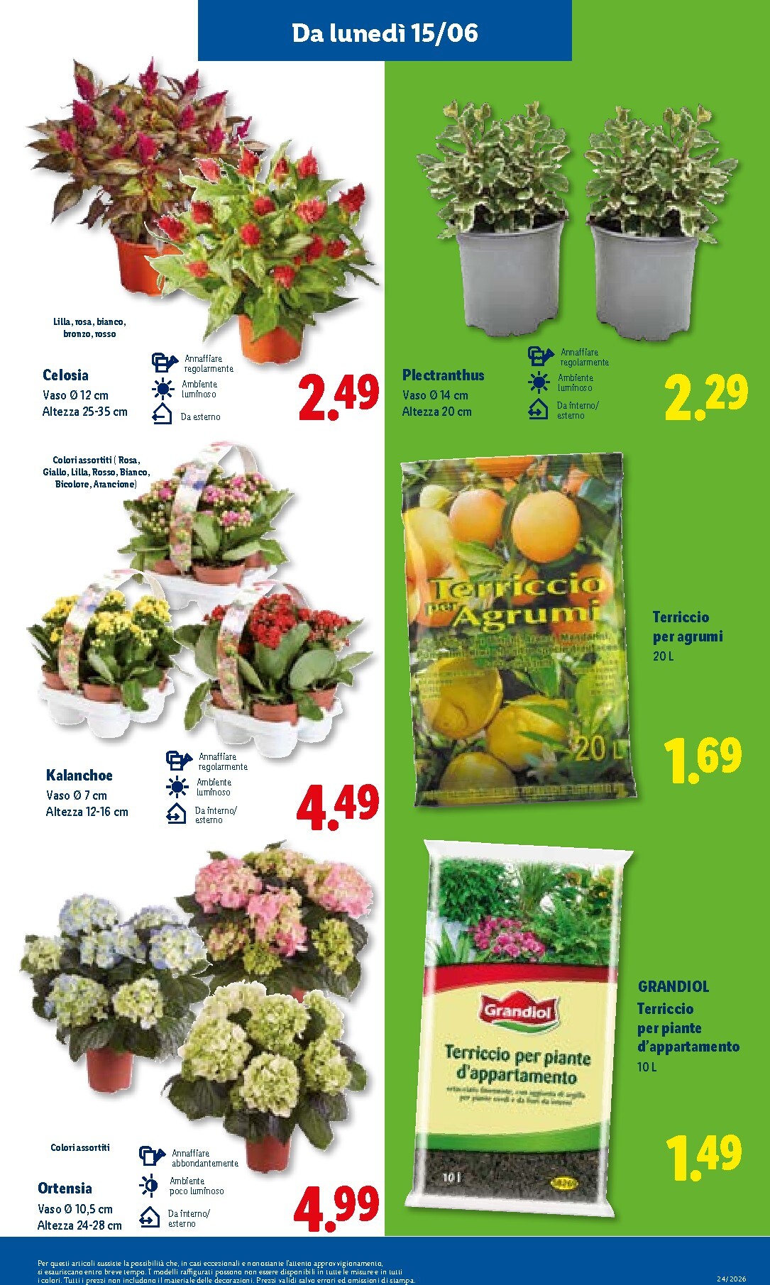 lidl - Volantino Lidl per la prossima settimana dal giovedì 11/06/2026 al mercoledì 17/06/2026 - page: 43