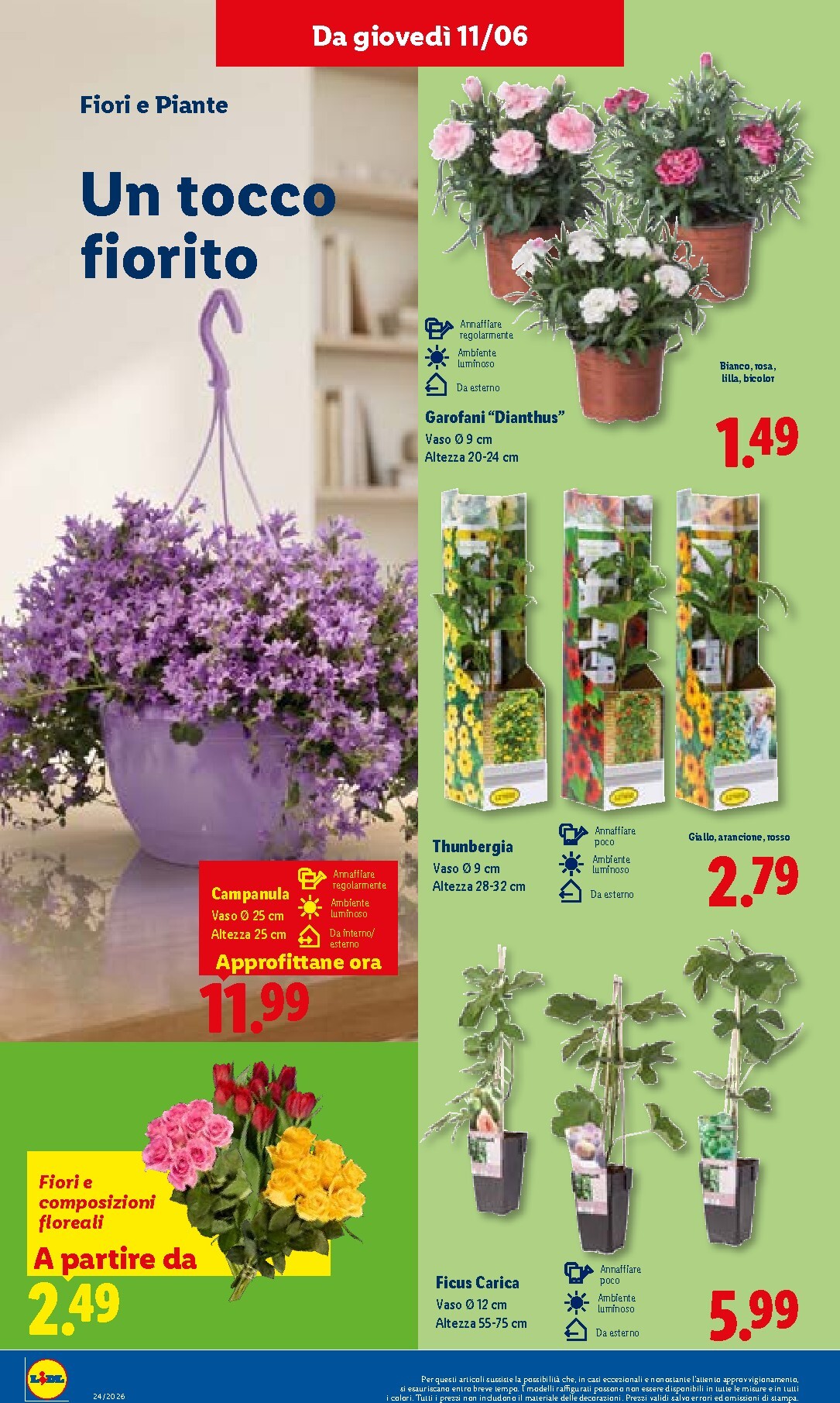lidl - Volantino Lidl - Volantino settimanale per la prossima settimana dal giovedì 11/06/2026 al mercoledì 17/06/2026 - page: 42