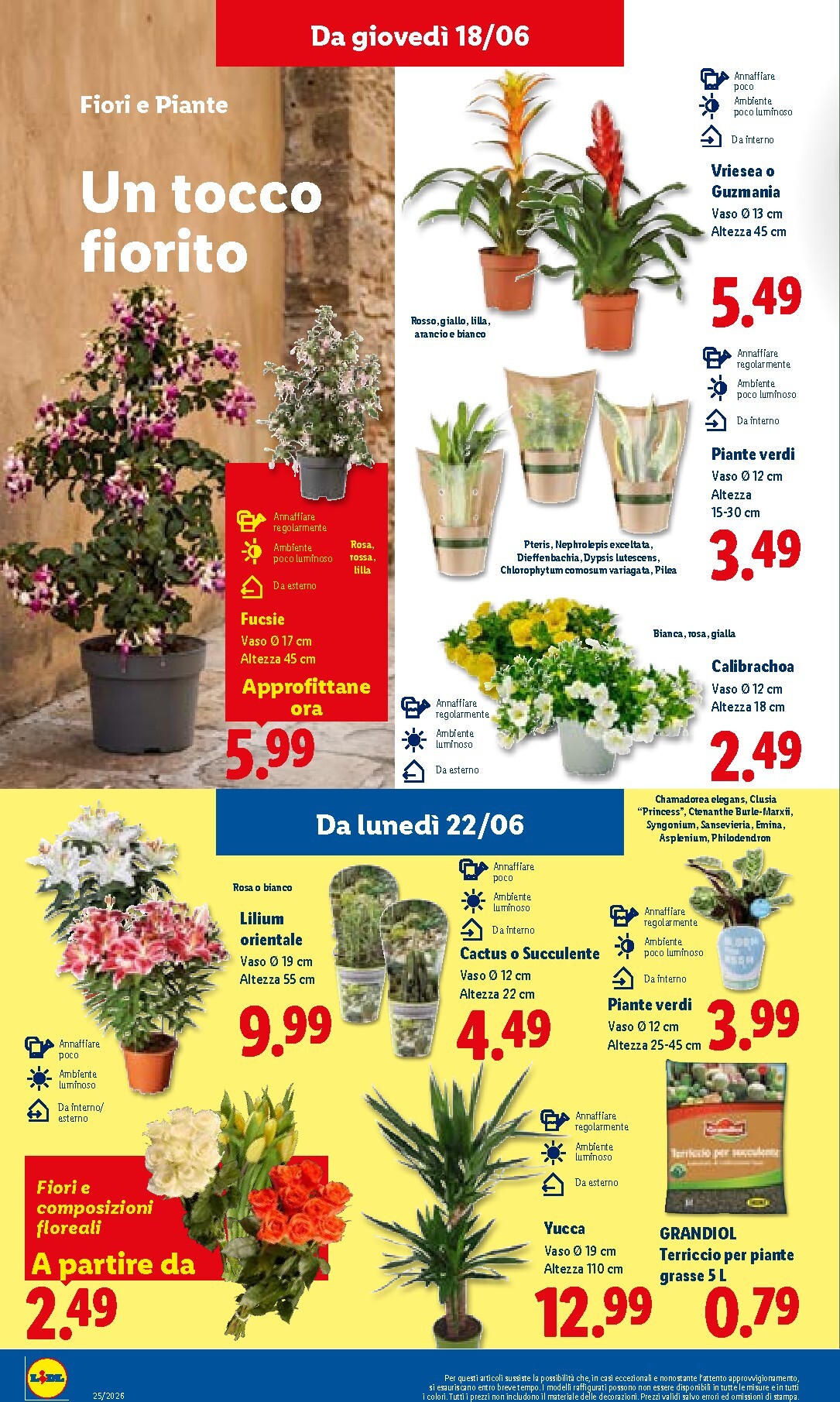 lidl - Volantino Lidl per la prossima settimana dal giovedì 18/06/2026 al mercoledì 24/06/2026 - page: 32