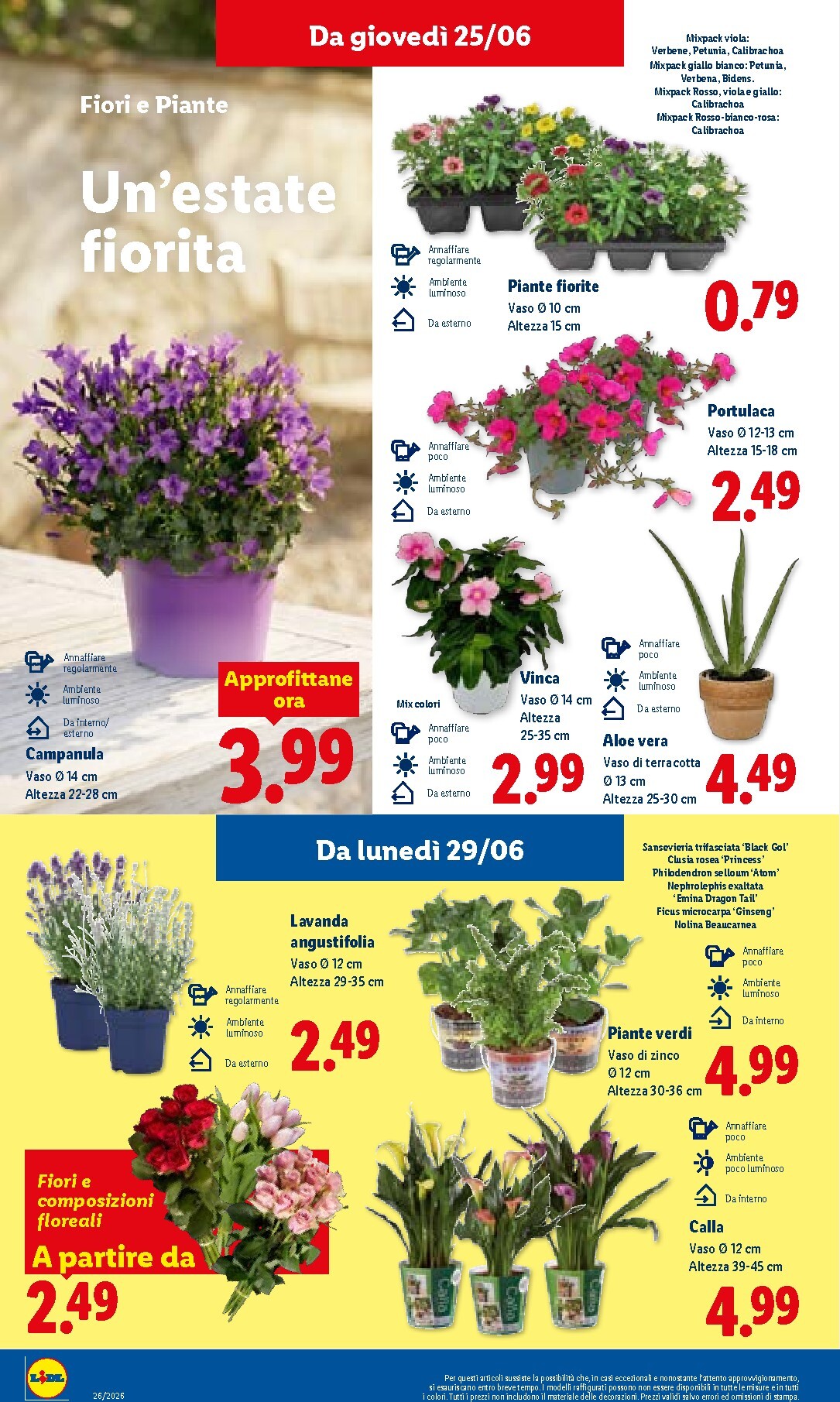 lidl - Volantino attuale di Lidl valido dal giovedì 25/06/2026 al mercoledì 01/07/2026 - page: 36