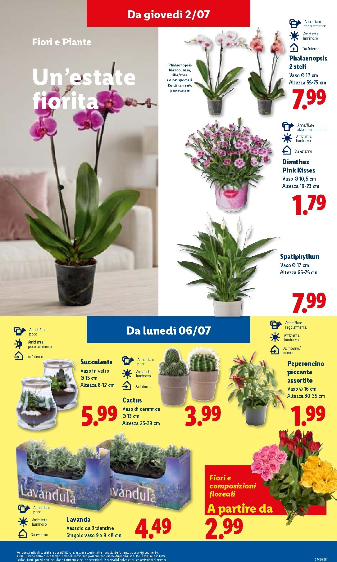 lidl - Volantino futuro Lidl valido dal giovedì 02/07/2026 al mercoledì 08/07/2026 - page: 33