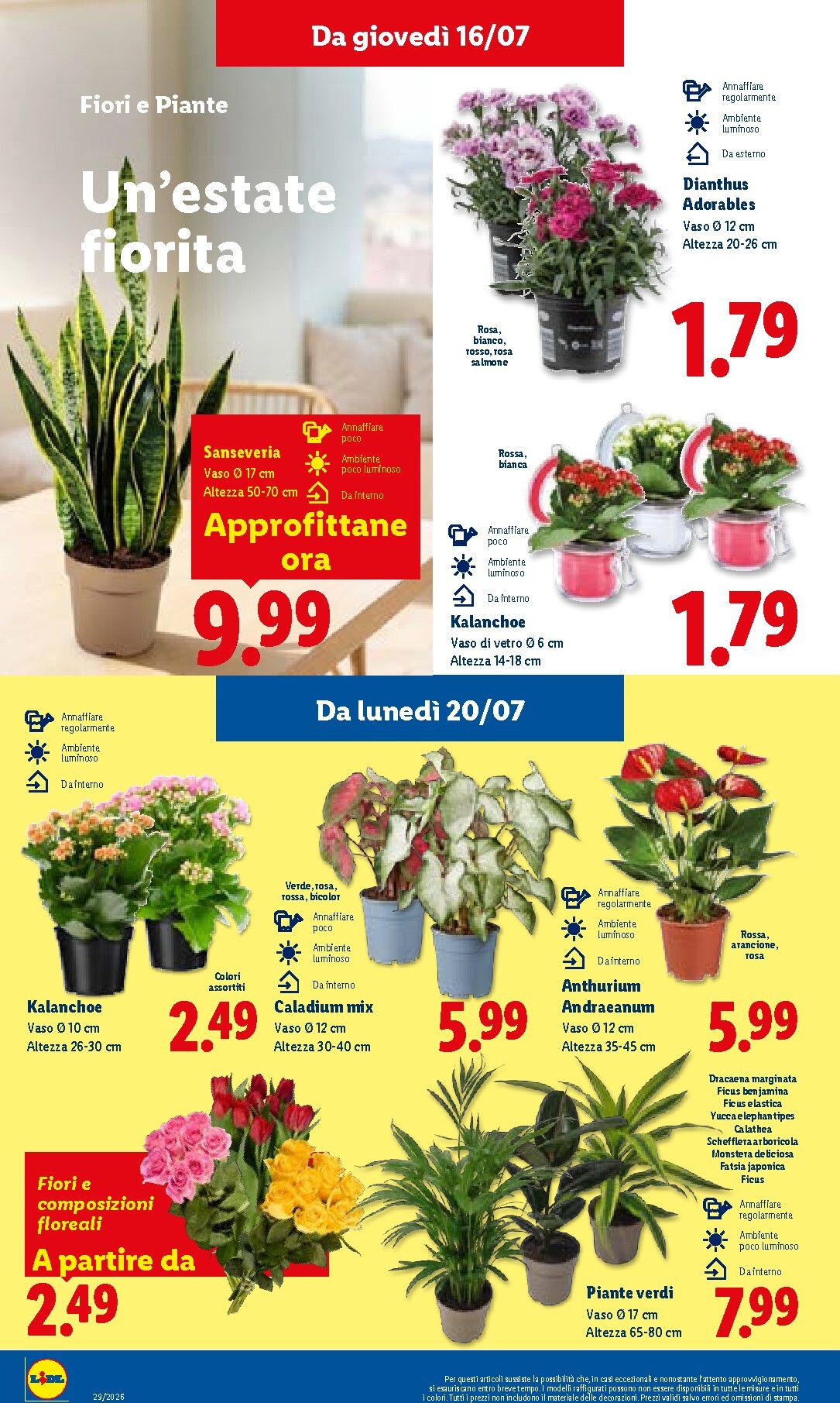 lidl - Volantino attuale di Lidl valido dal giovedì 16/07/2026 al mercoledì 22/07/2026 - page: 40