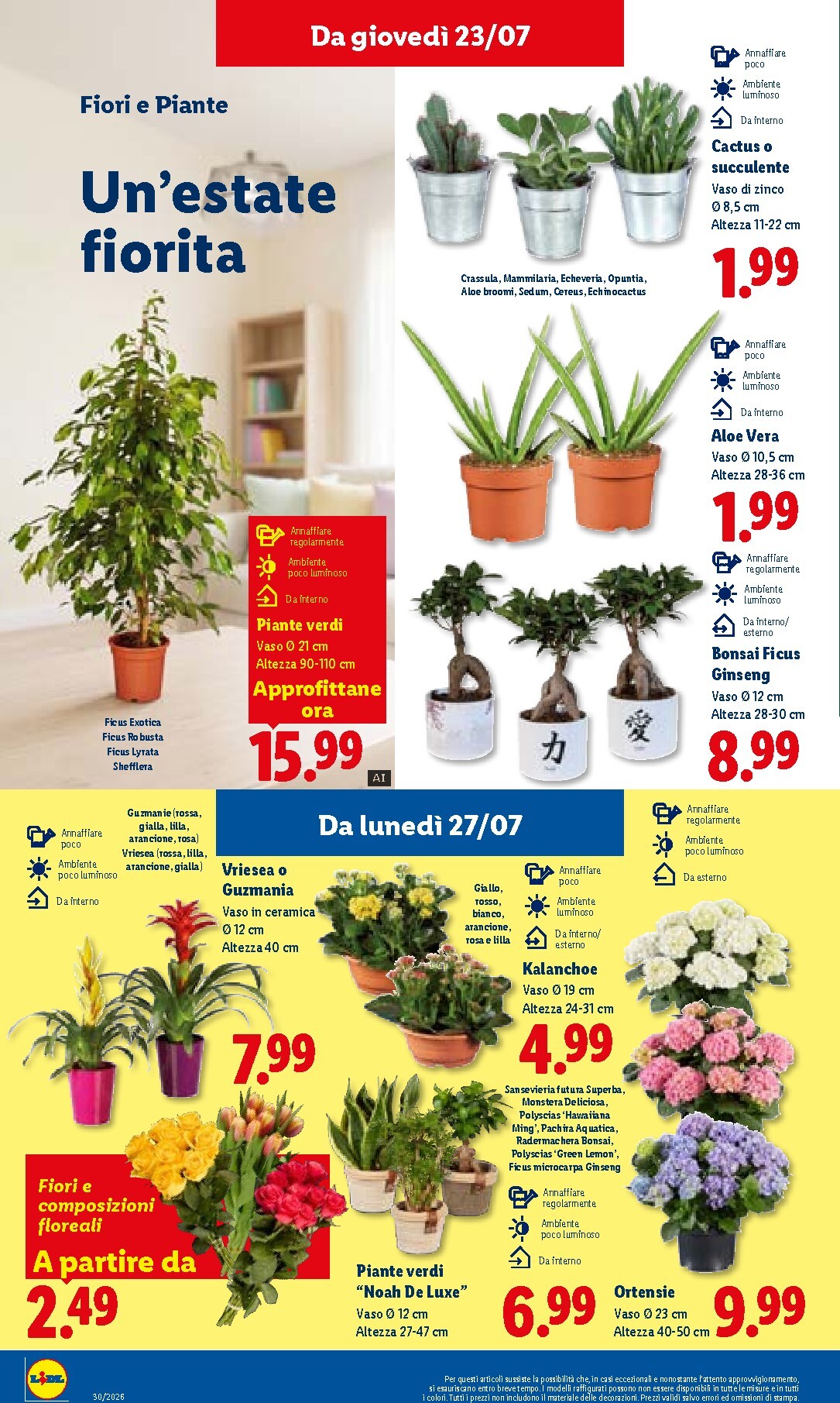 lidl - Volantino attuale di Lidl valido dal giovedì 23/07/2026 al mercoledì 29/07/2026 - page: 34