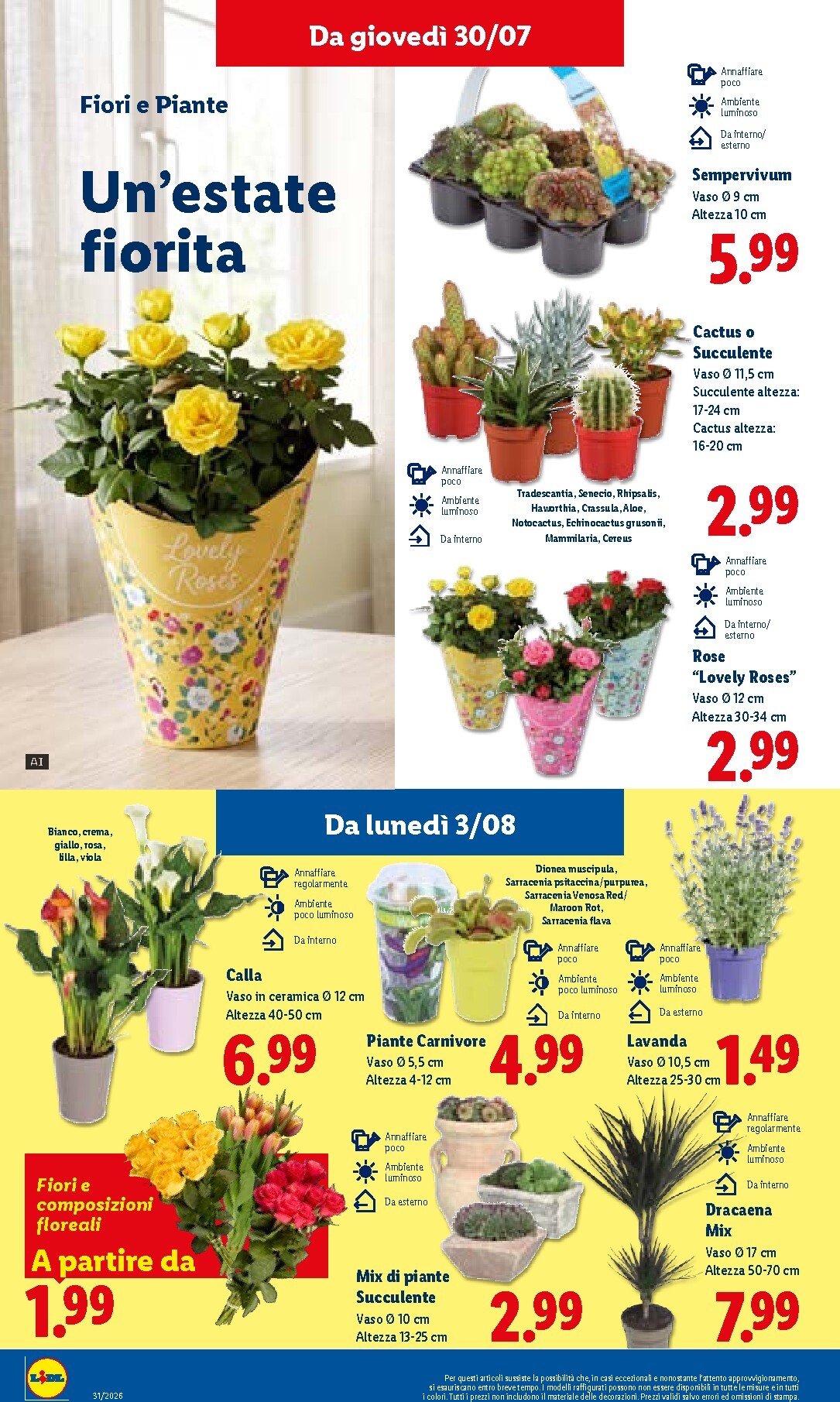 lidl - Volantino Lidl per la prossima settimana dal giovedì 30/07/2026 al mercoledì 05/08/2026 - page: 30