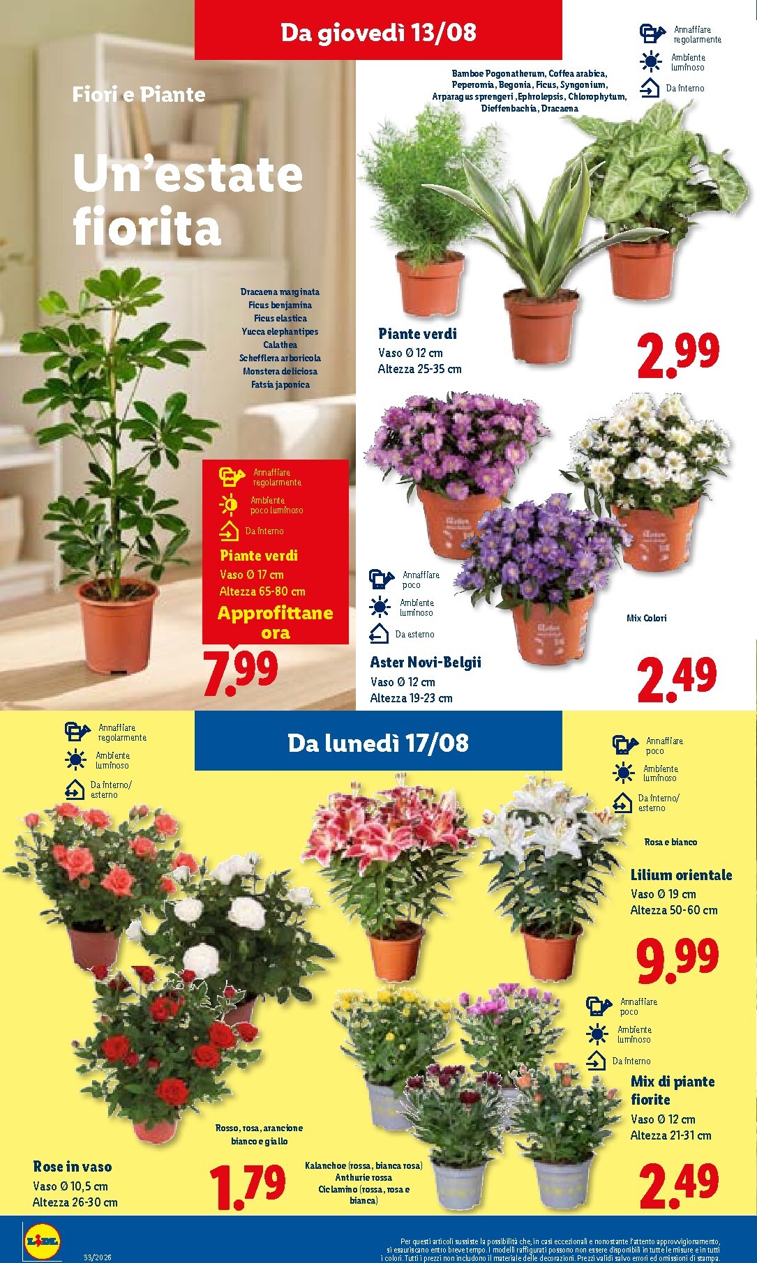 lidl - Volantino futuro Lidl valido dal giovedì 13/08/2026 al mercoledì 19/08/2026 - page: 28