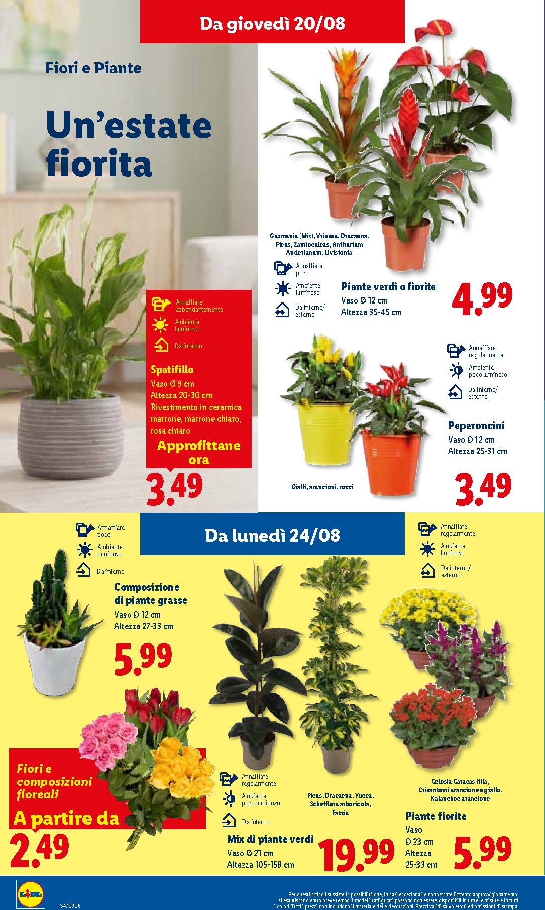lidl - Volantino futuro Lidl valido dal giovedì 20/08/2026 al mercoledì 26/08/2026 - page: 26