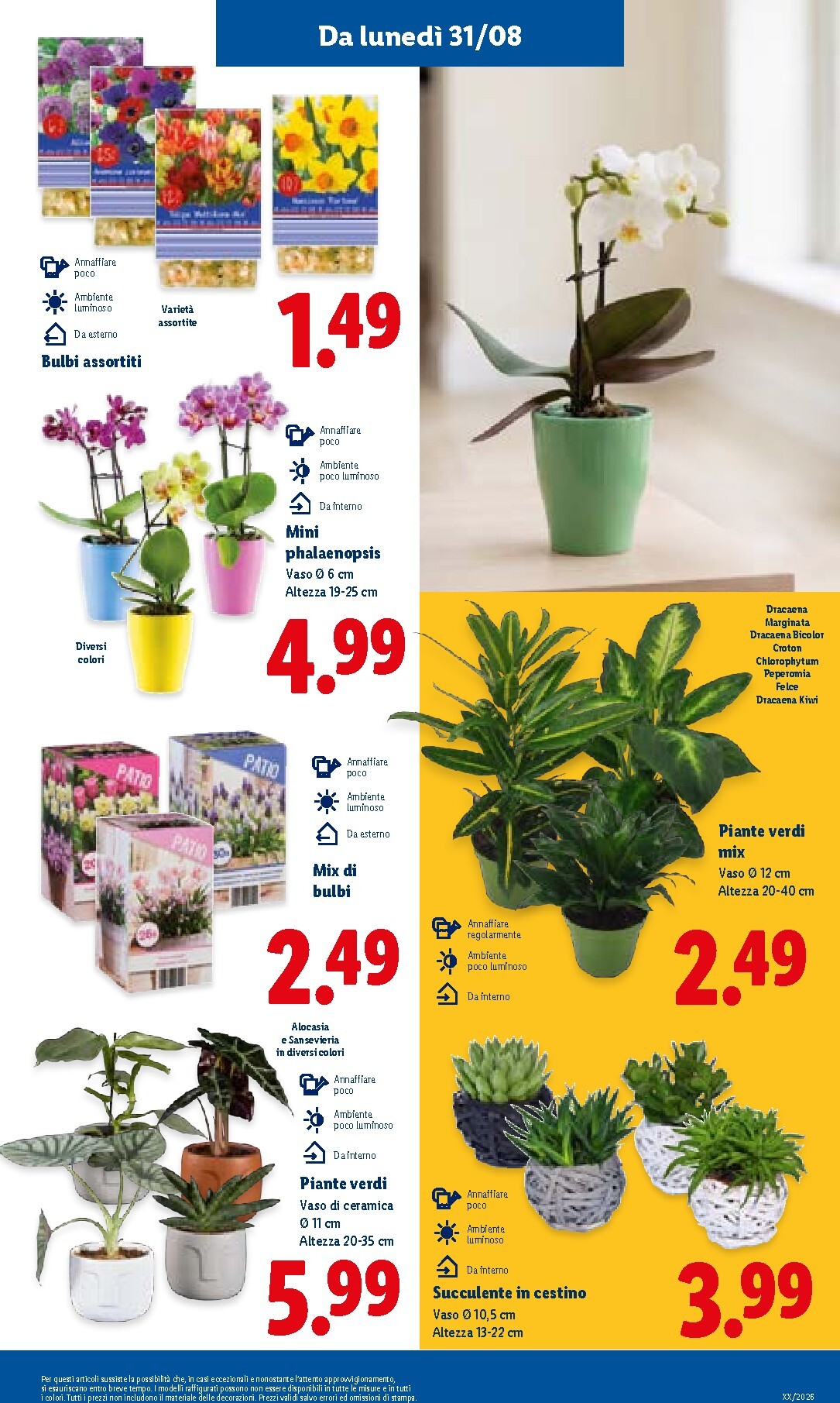 lidl - Volantino Lidl per la prossima settimana dal giovedì 27/08/2026 al mercoledì 02/09/2026 - page: 33