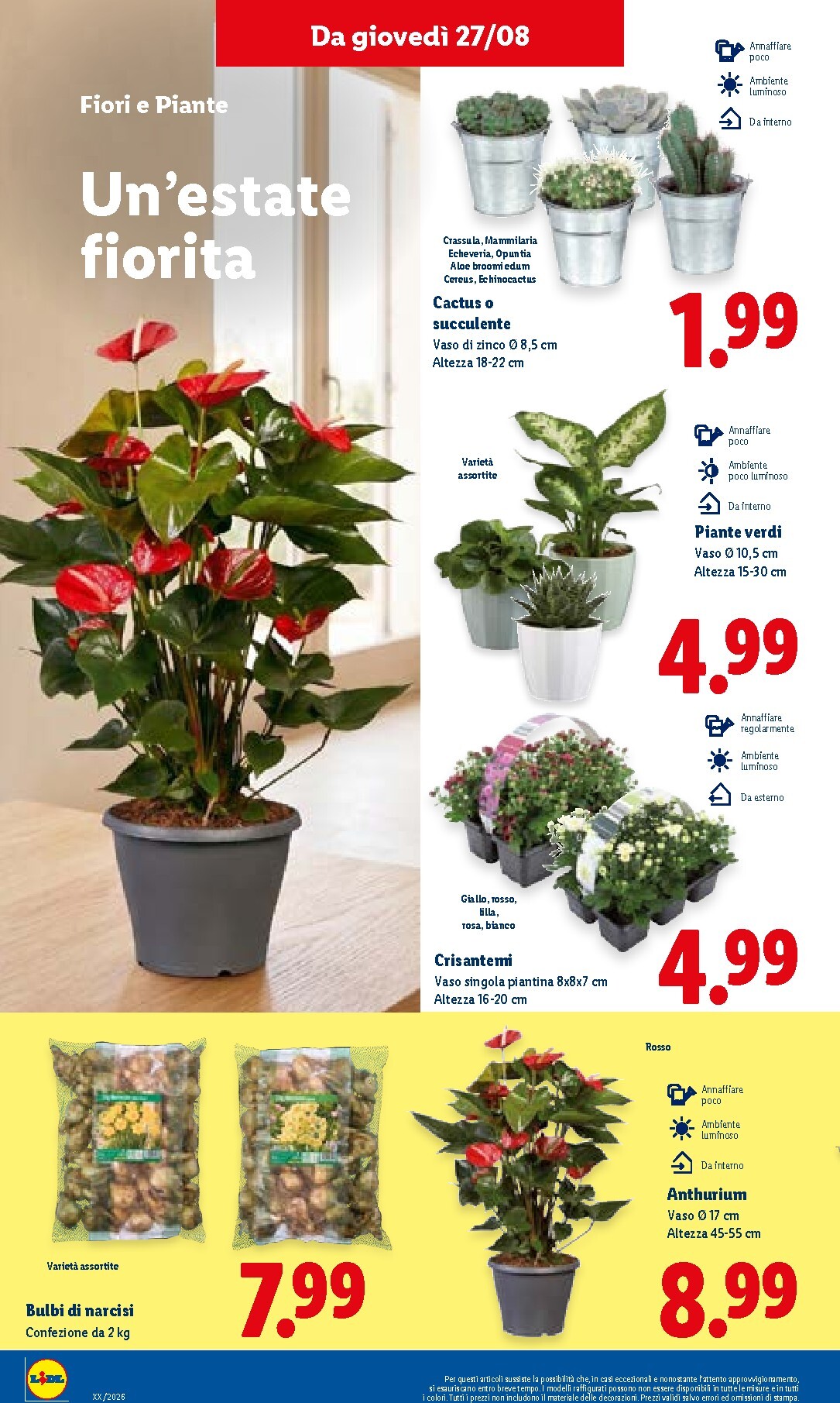 lidl - Volantino Lidl per la prossima settimana dal giovedì 27/08/2026 al mercoledì 02/09/2026 - page: 32