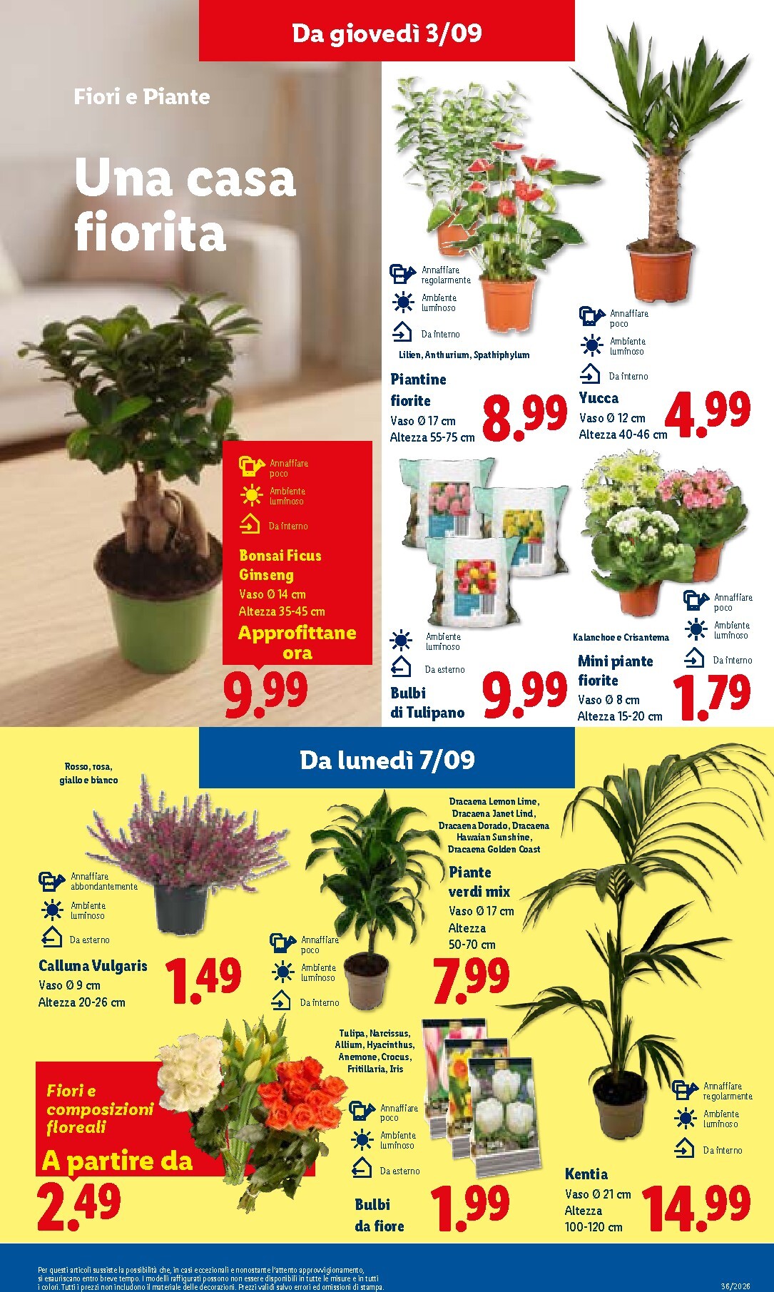 lidl - Volantino Lidl per la prossima settimana dal giovedì 03/09/2026 al mercoledì 09/09/2026 - page: 11