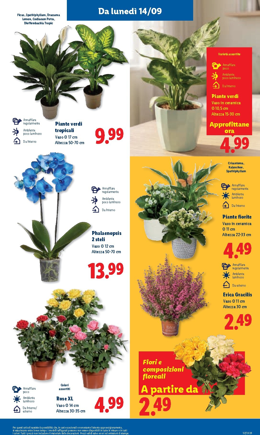 lidl - Volantino attuale di Lidl valido dal giovedì 10/09/2026 al mercoledì 16/09/2026 - page: 47