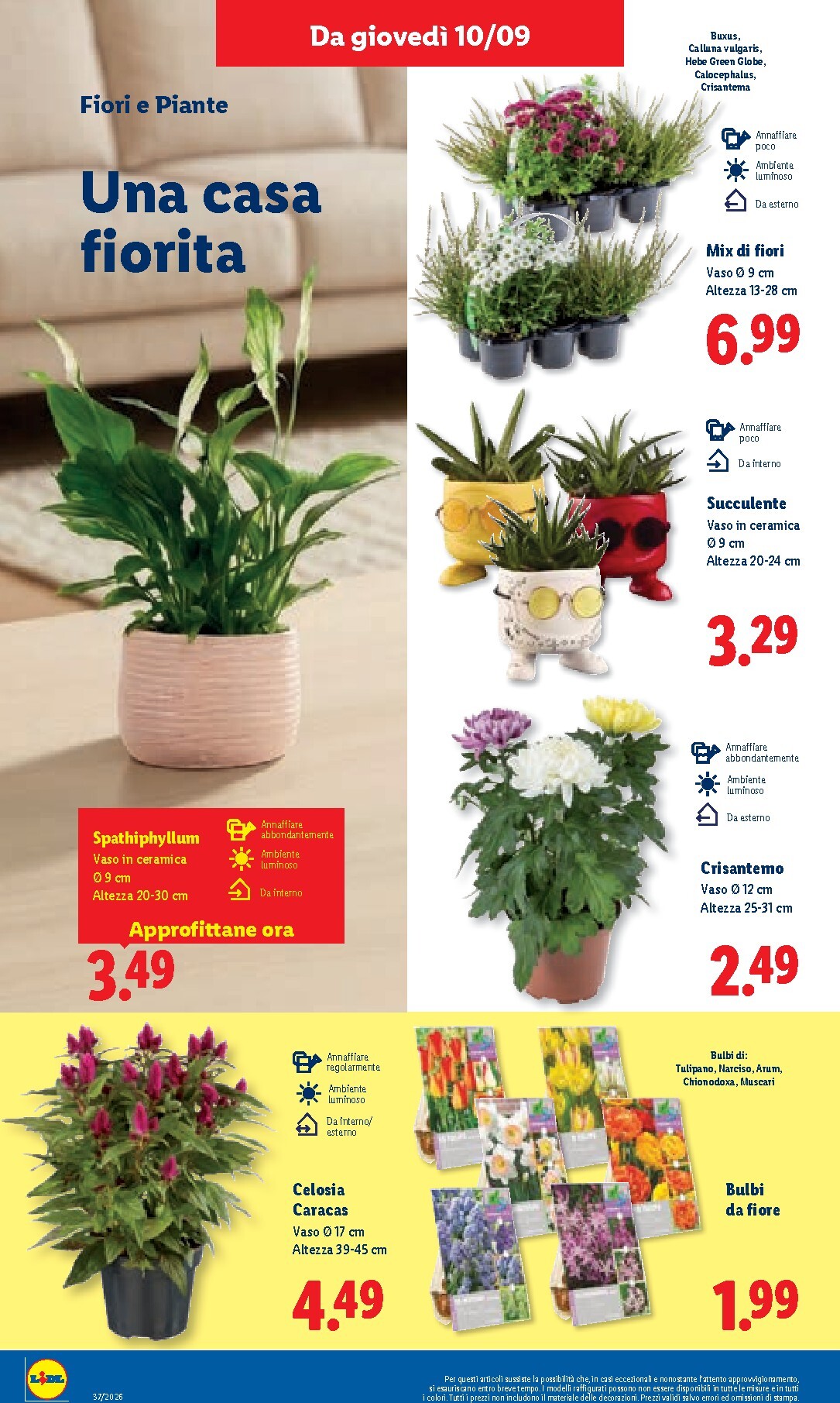 lidl - Volantino attuale di Lidl valido dal giovedì 10/09/2026 al mercoledì 16/09/2026 - page: 46