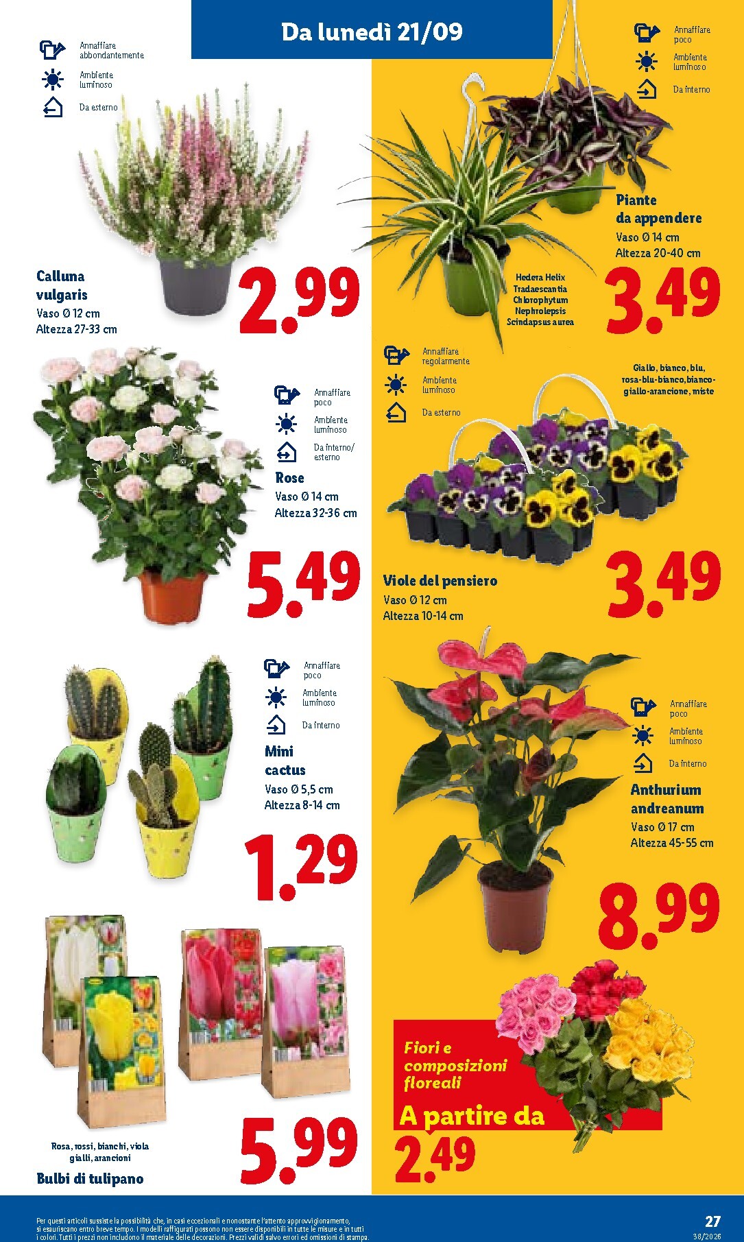 lidl - Volantino futuro Lidl valido dal giovedì 17/09/2026 al mercoledì 23/09/2026 - page: 33