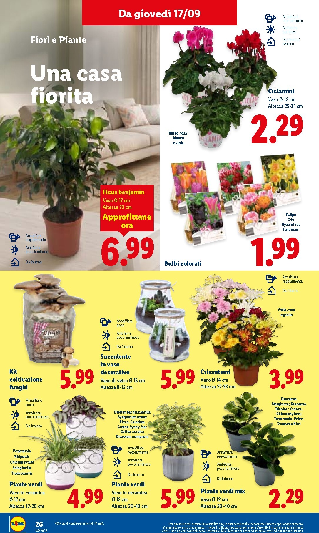 lidl - Volantino futuro Lidl valido dal giovedì 17/09/2026 al mercoledì 23/09/2026 - page: 32