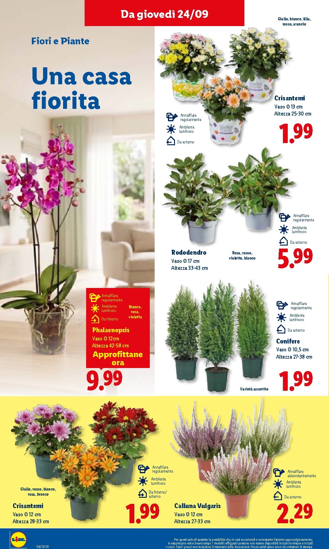 lidl - Volantino Lidl per la prossima settimana dal giovedì 24/09/2026 al mercoledì 30/09/2026 - page: 42