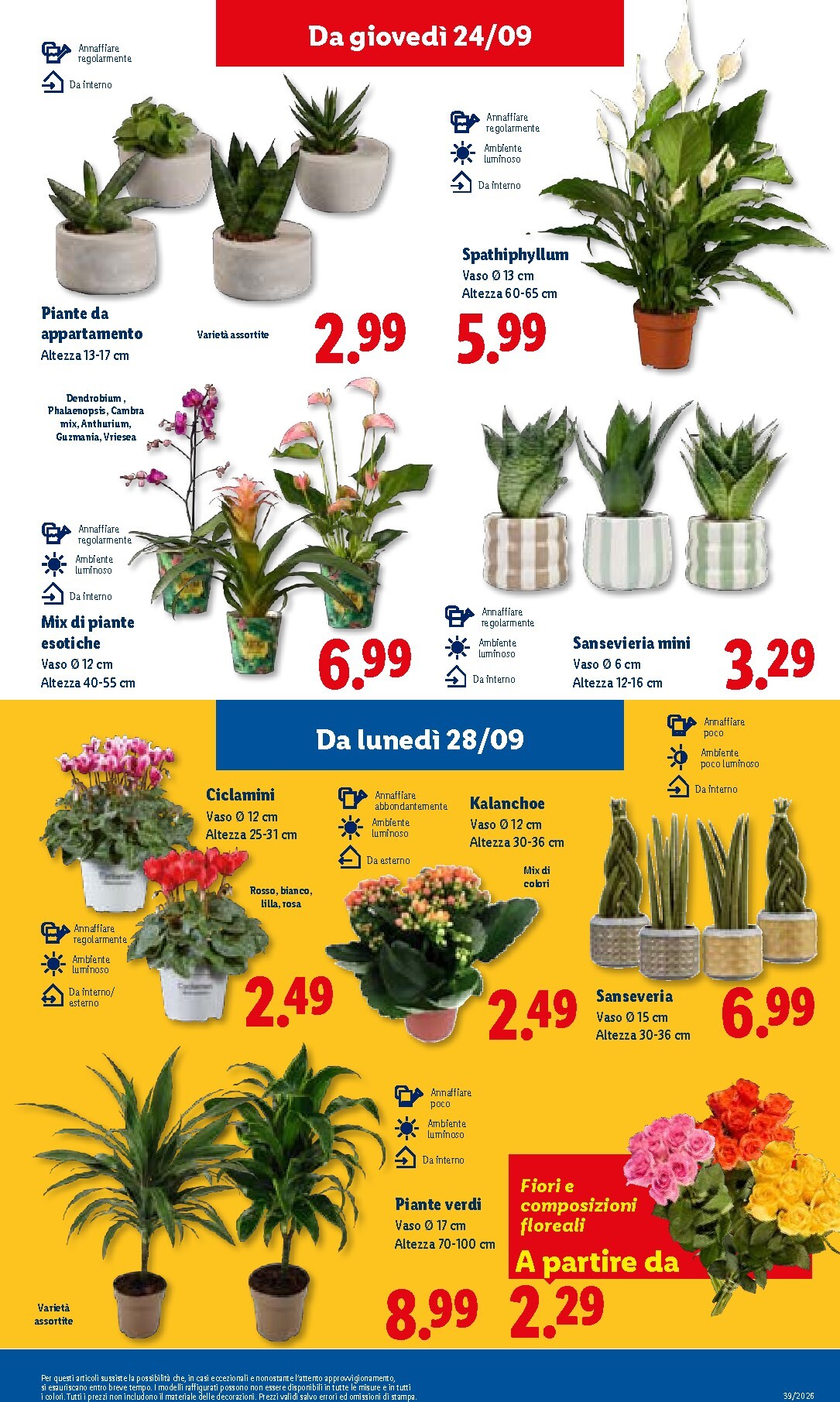 lidl - Volantino Lidl per la prossima settimana dal giovedì 24/09/2026 al mercoledì 30/09/2026 - page: 43