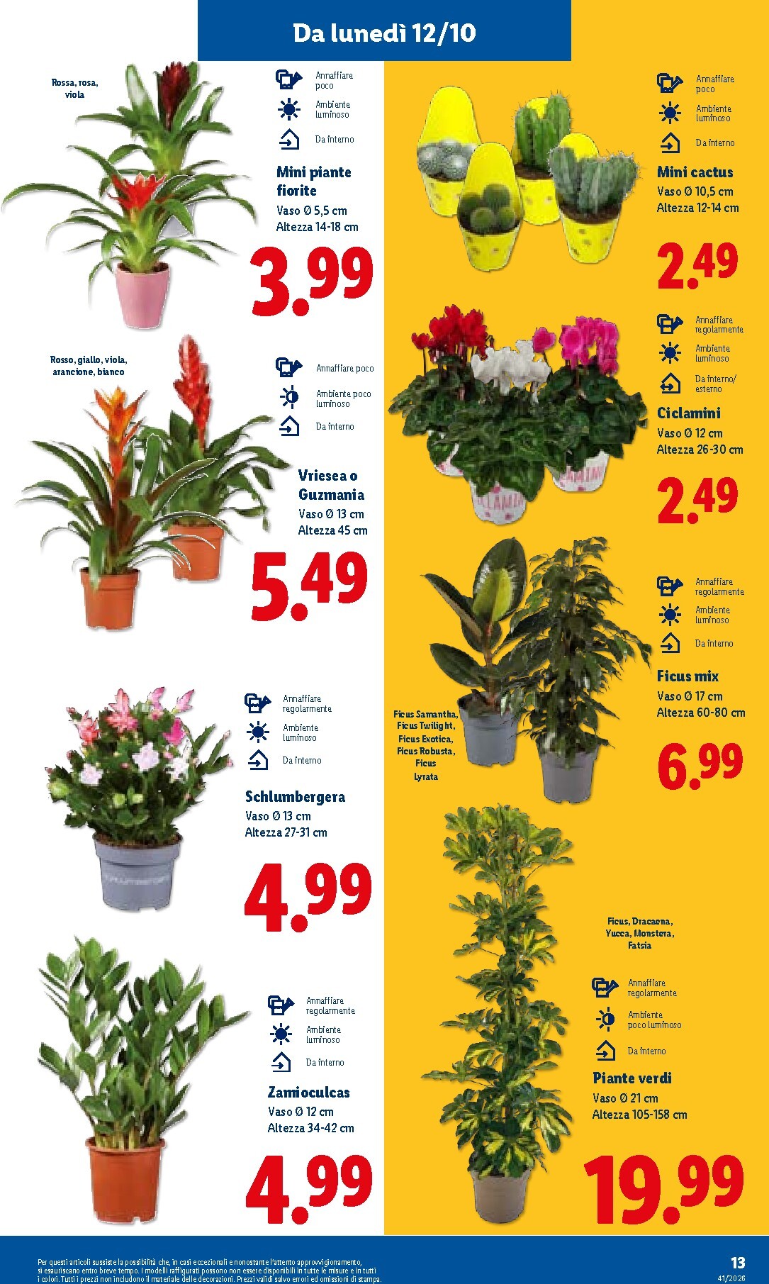 lidl - Volantino futuro Lidl valido dal giovedì 08/10/2026 al mercoledì 14/10/2026 - page: 33