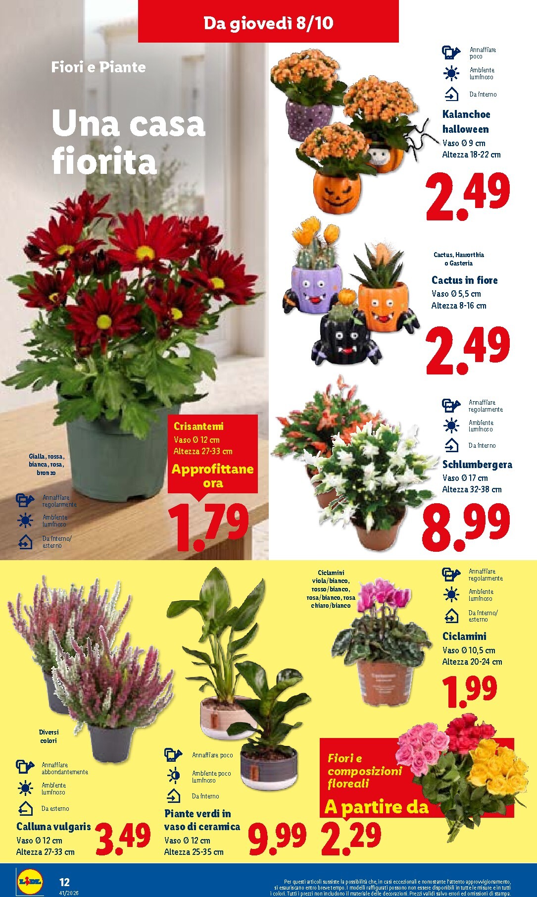 lidl - Volantino attuale di Lidl valido dal giovedì 08/10/2026 al mercoledì 14/10/2026 - page: 34