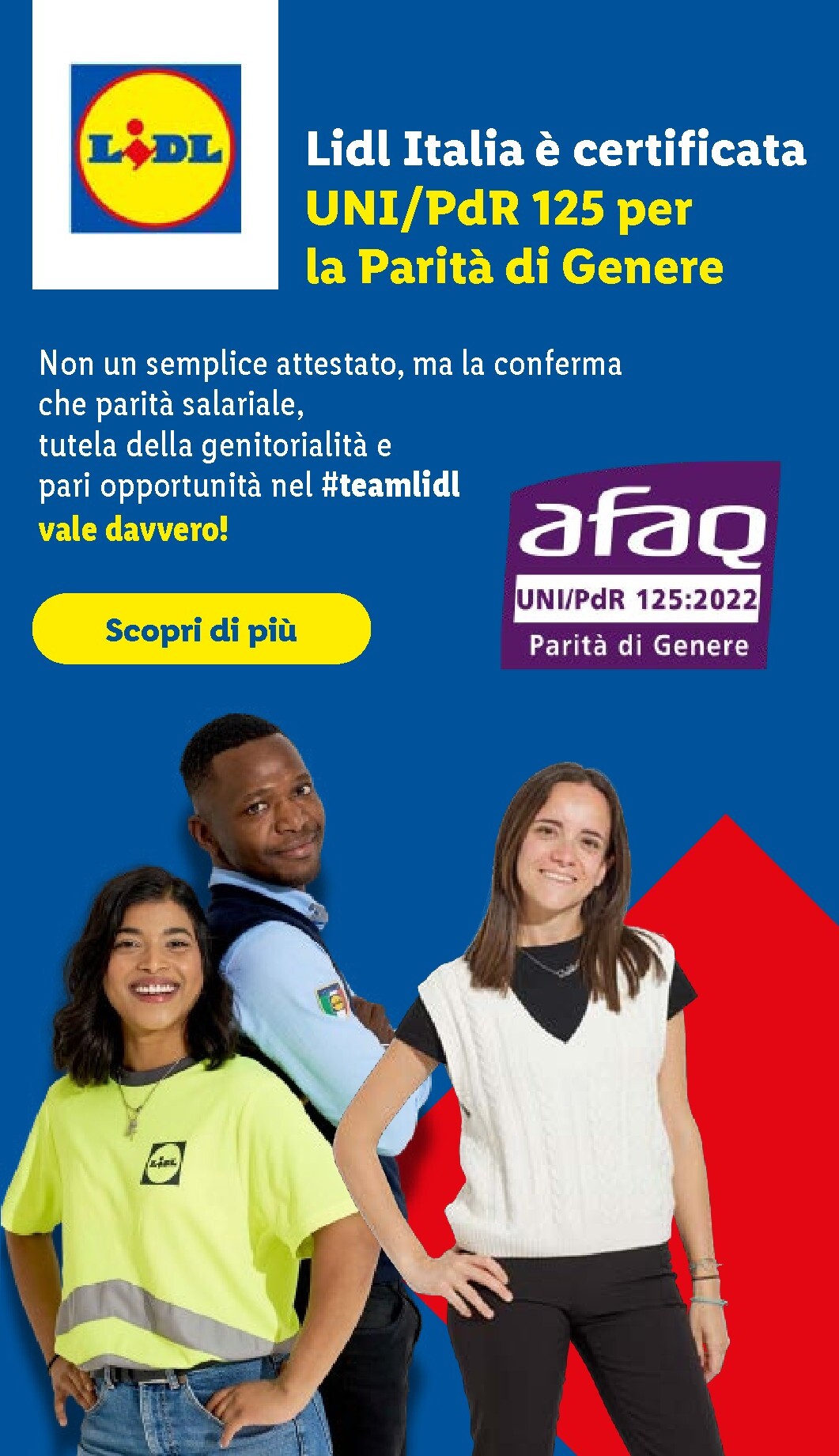 lidl - Volantino Lidl per la prossima settimana dal giovedì 22/10/2026 al mercoledì 28/10/2026 - page: 51