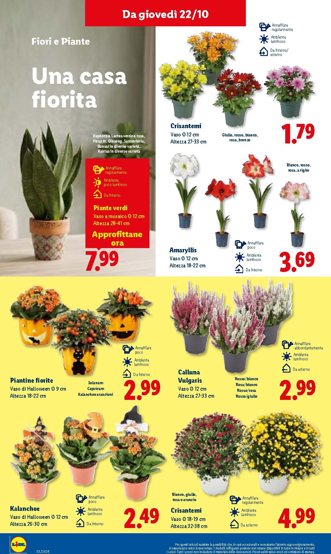 lidl - Volantino Lidl per la prossima settimana dal giovedì 22/10/2026 al mercoledì 28/10/2026 - page: 34