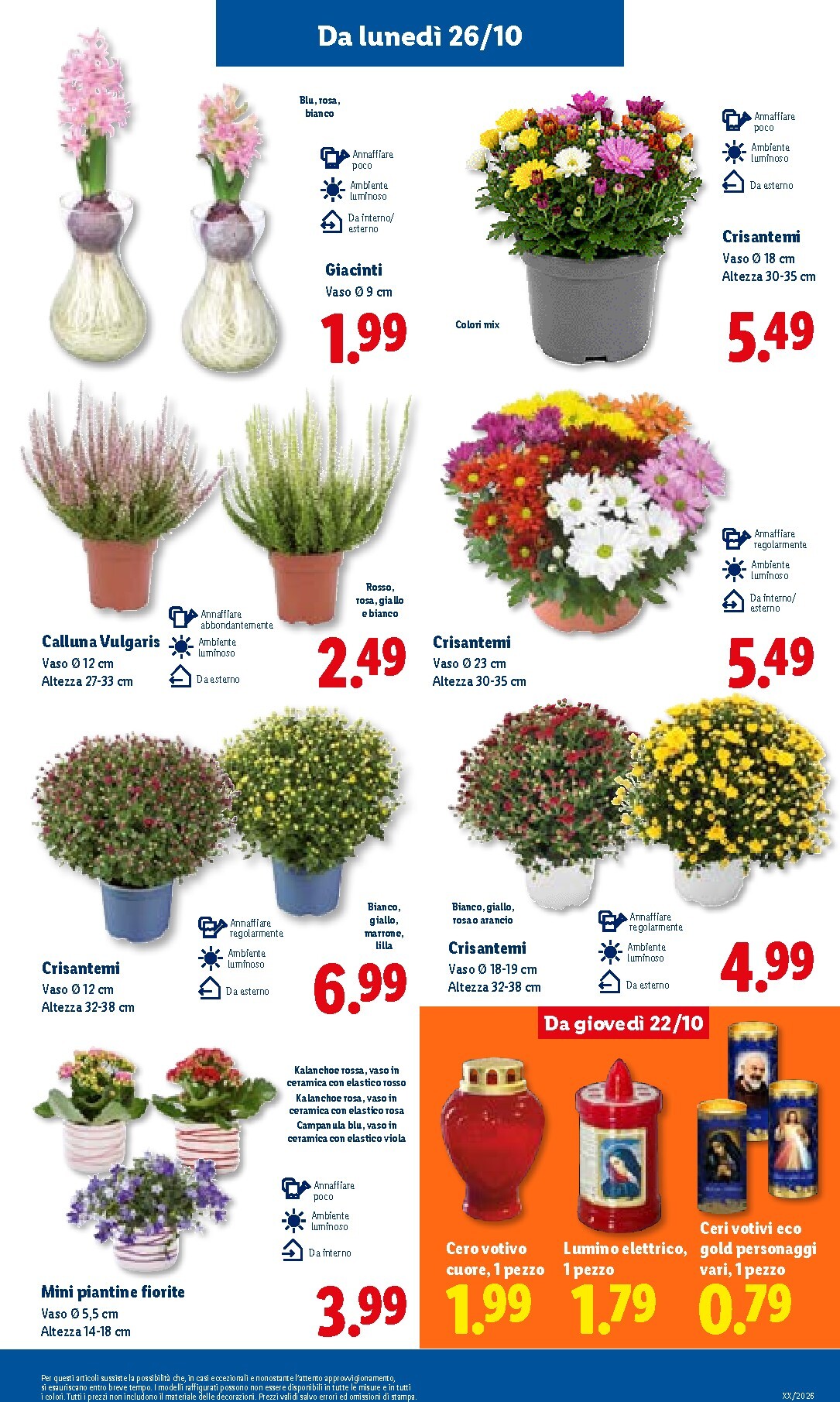 lidl - Volantino attuale di Lidl valido dal giovedì 22/10/2026 al mercoledì 28/10/2026 - page: 37