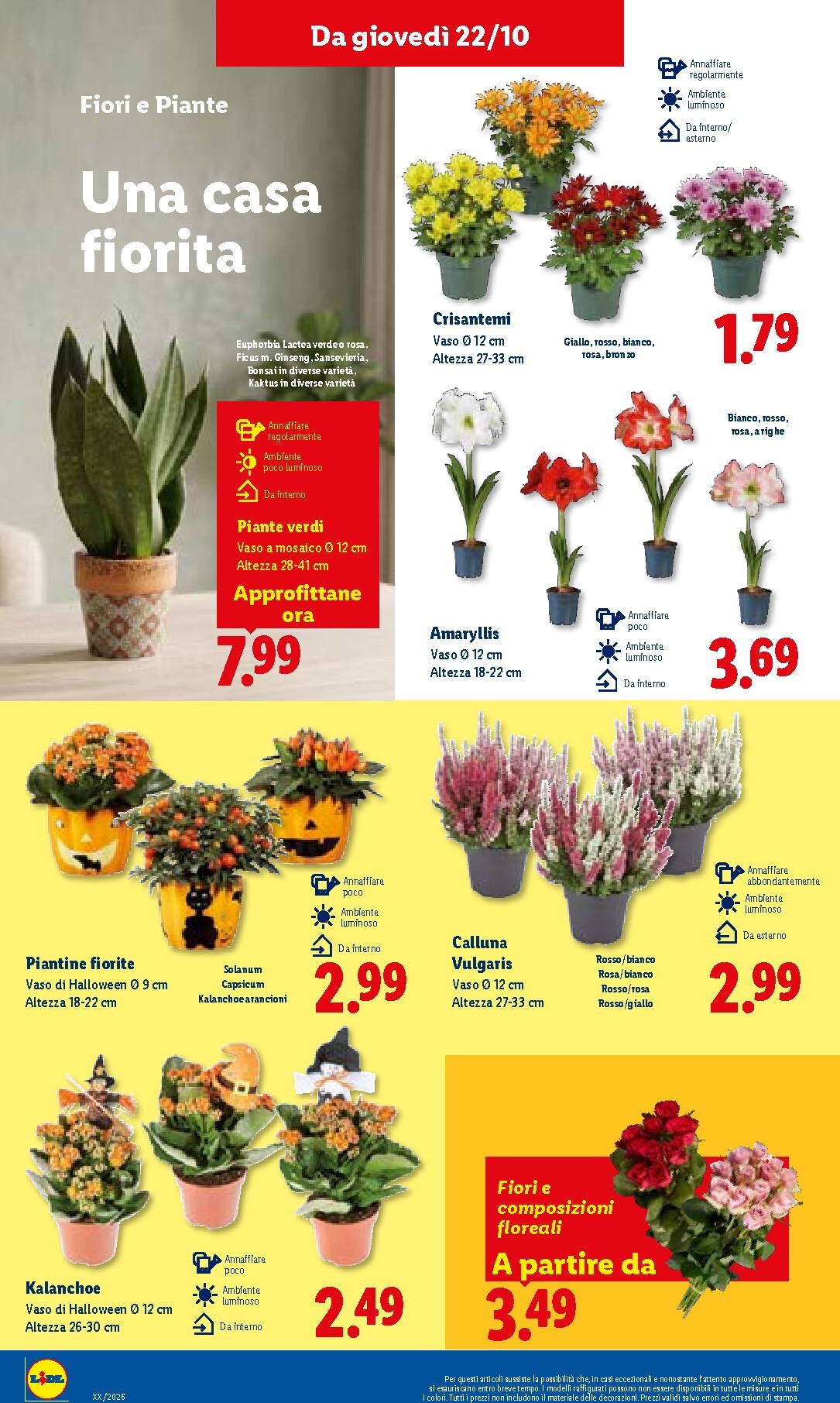 lidl - Volantino attuale di Lidl valido dal giovedì 22/10/2026 al mercoledì 28/10/2026 - page: 36