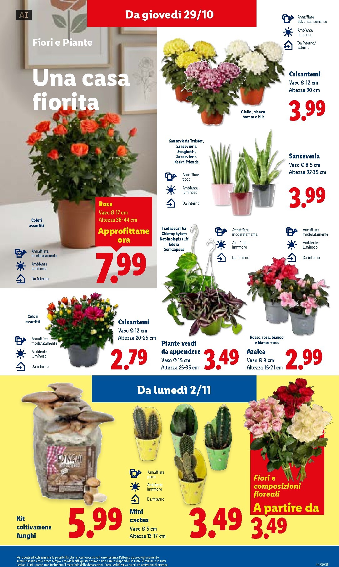 lidl - Volantino attuale di Lidl valido dal giovedì 29/10/2026 al mercoledì 04/11/2026 - page: 41