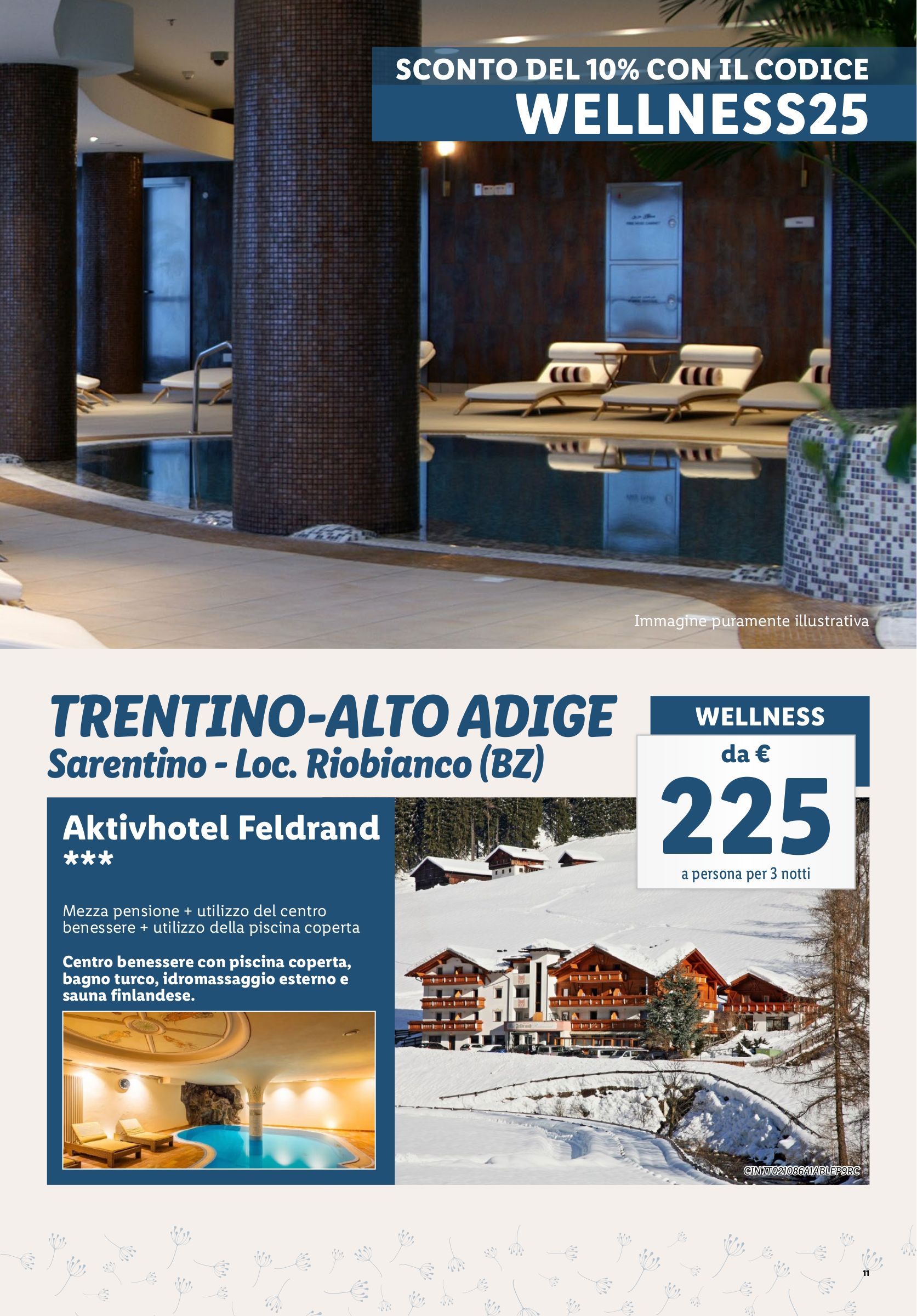 lidl - Volantino Lidl - Wellness valido dal 25/12 al 31/01 - page: 11