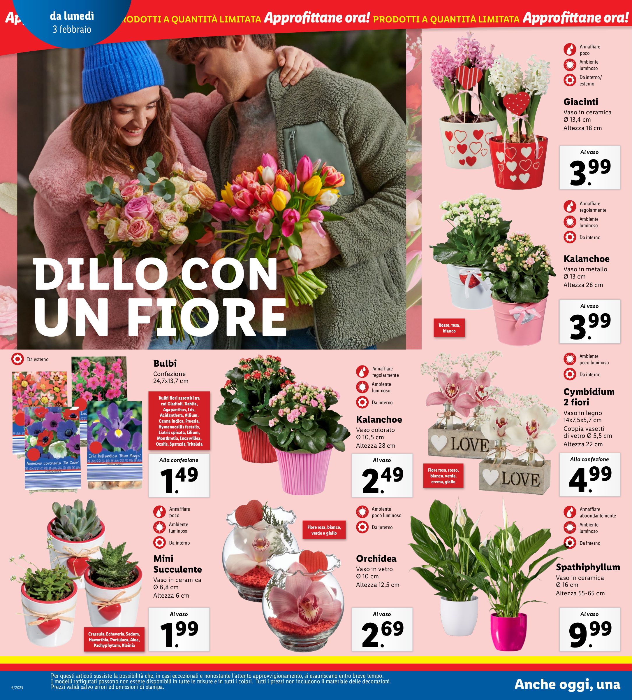 lidl - Volantino Lidl valido dal 03/02 al 09/02 - page: 24