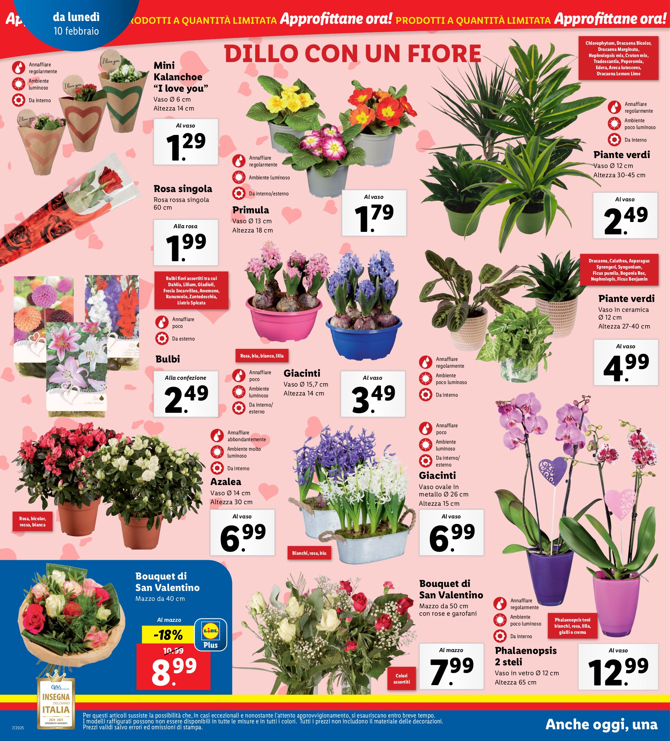 lidl - Volantino Lidl valido dal 10/02 al 16/02 - page: 20