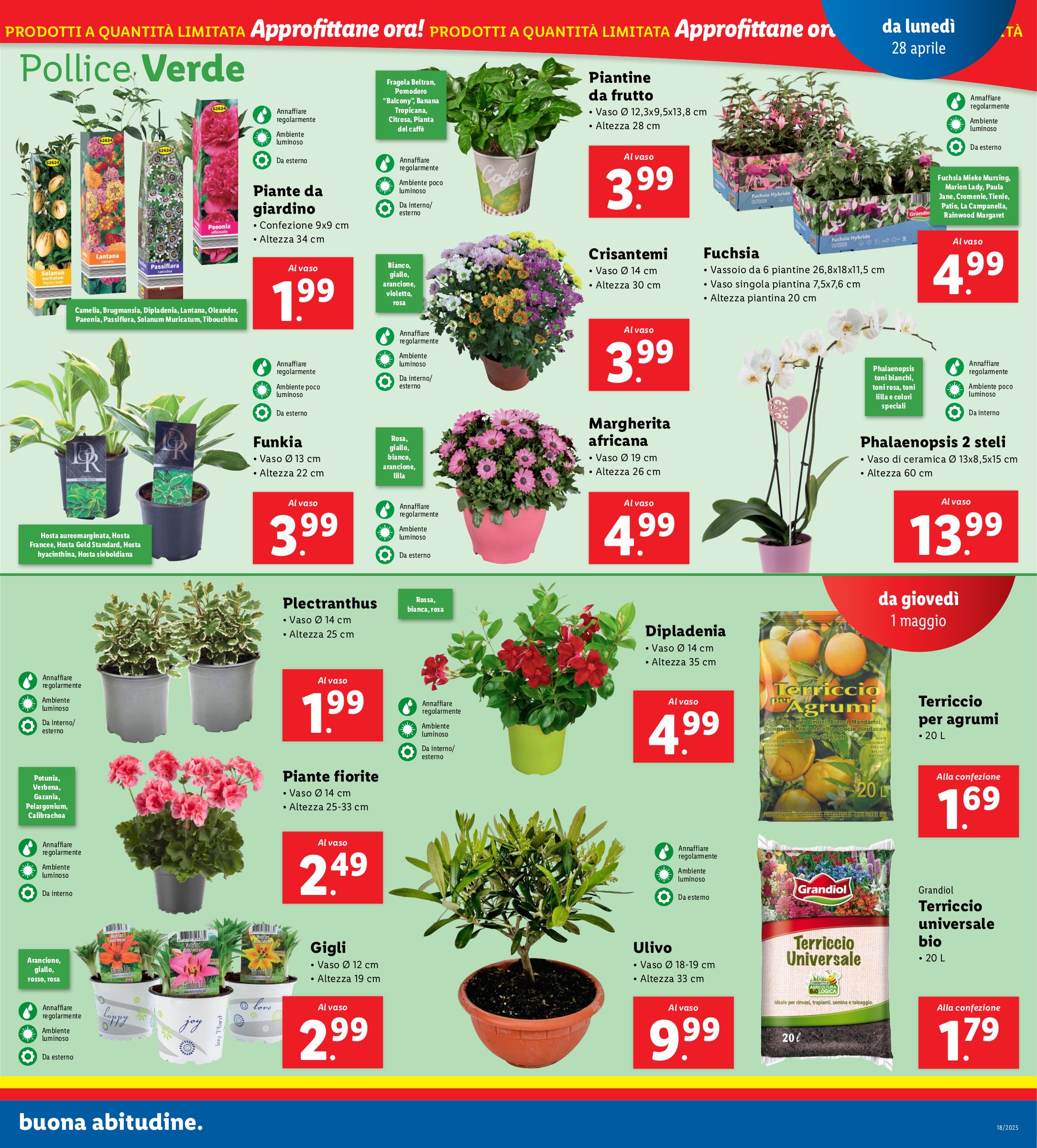 lidl - Volantino Lidl valido dal 28/04 al 04/05 - page: 11 lidl - Volantino Lidl valido dal 28/04 al 04/05 - page: 11