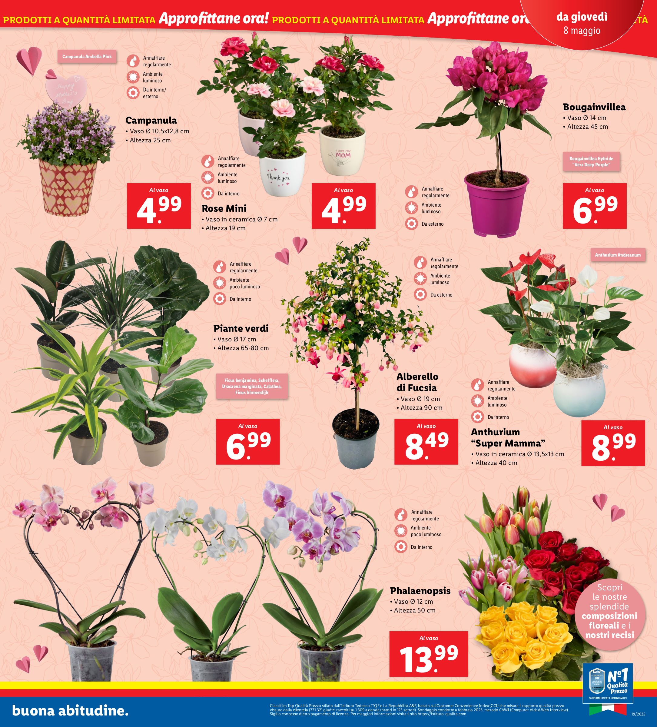 lidl - Volantino Lidl valido dal 05/05 al 11/05 - page: 23