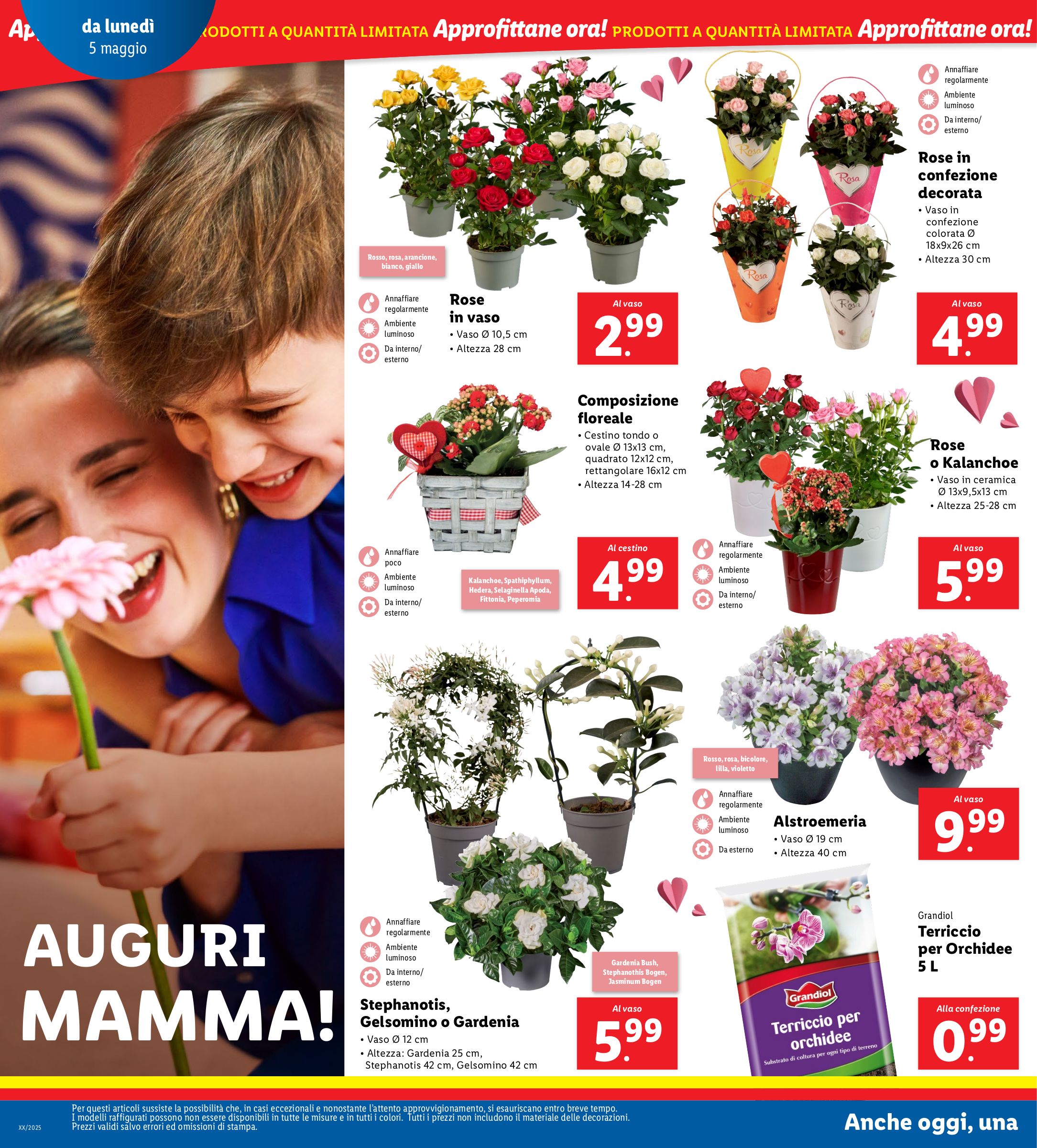 lidl - Volantino Lidl valido dal 05/05 al 11/05 - page: 22