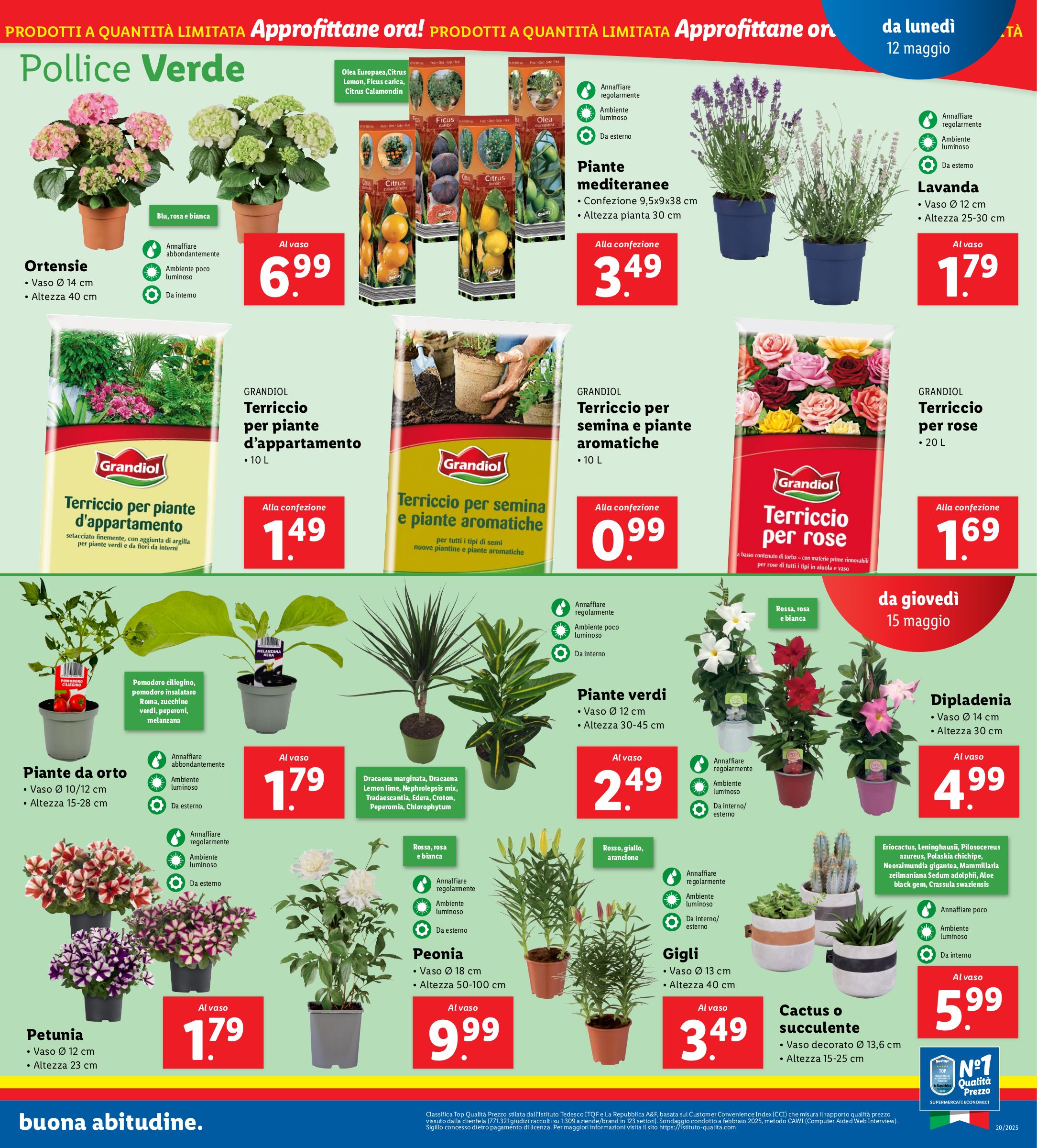 lidl - Volantino Lidl valido dal 12/05 al 18/05 - page: 19