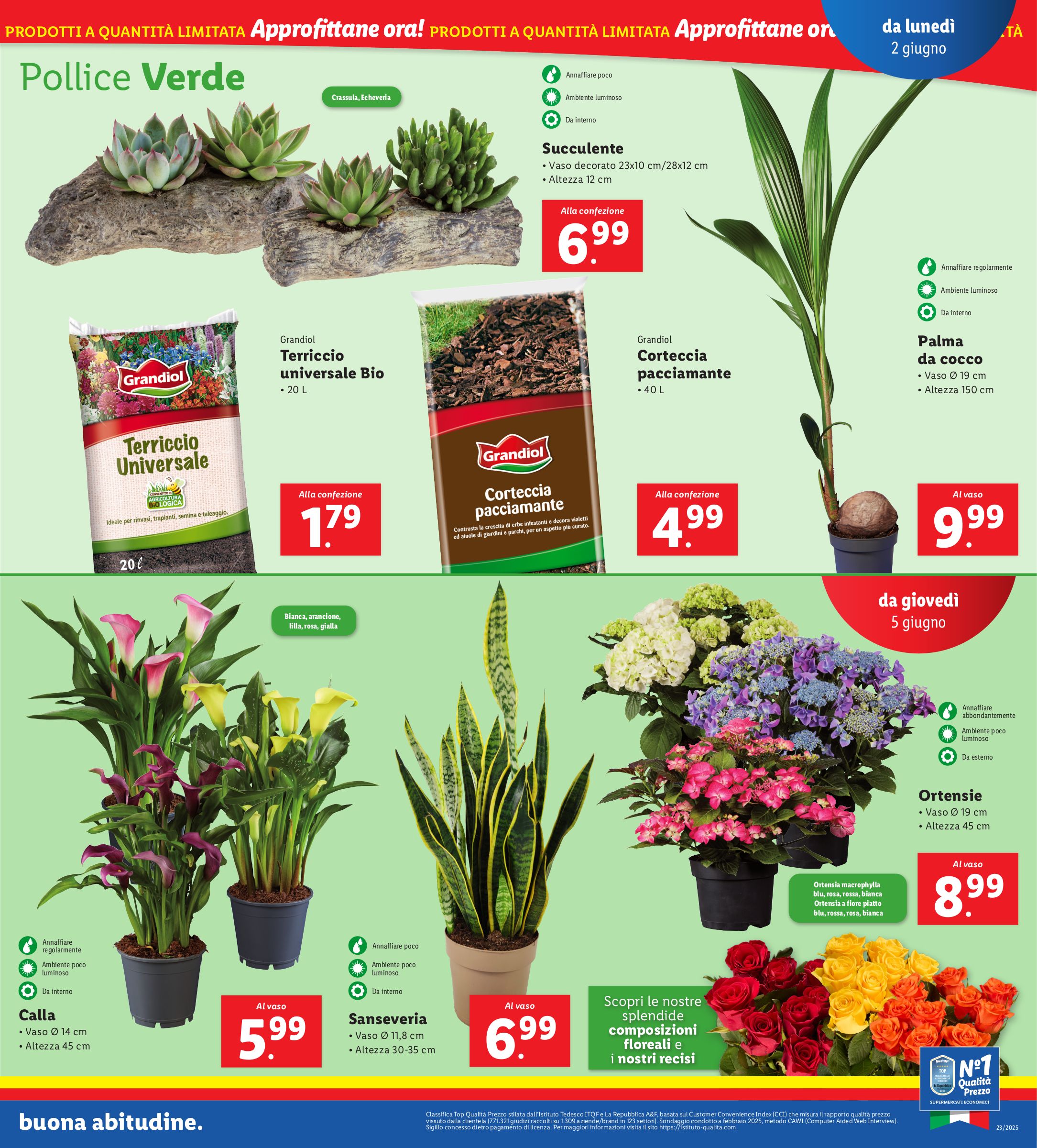 lidl - Volantino Lidl valido dal 02/06 al 08/06 - page: 27