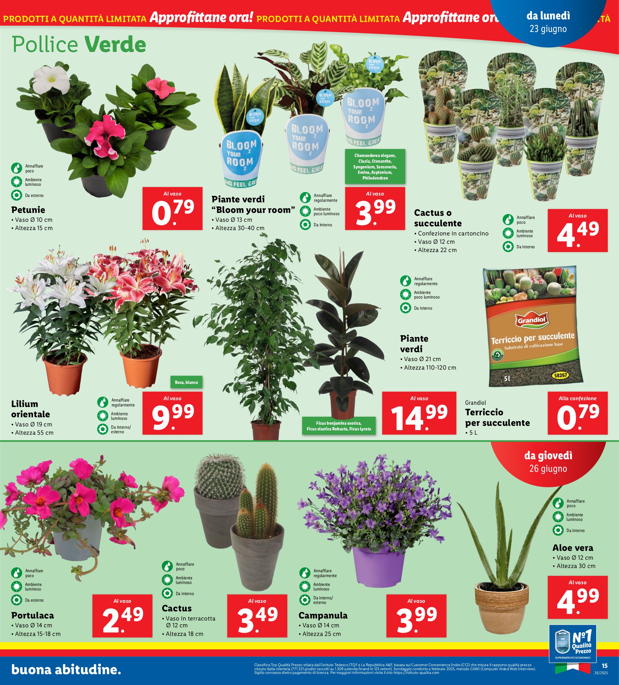 lidl - Volantino Lidl valido dal 23/06 al 29/06 - page: 19 lidl - Volantino Lidl valido dal 23/06 al 29/06 - page: 19