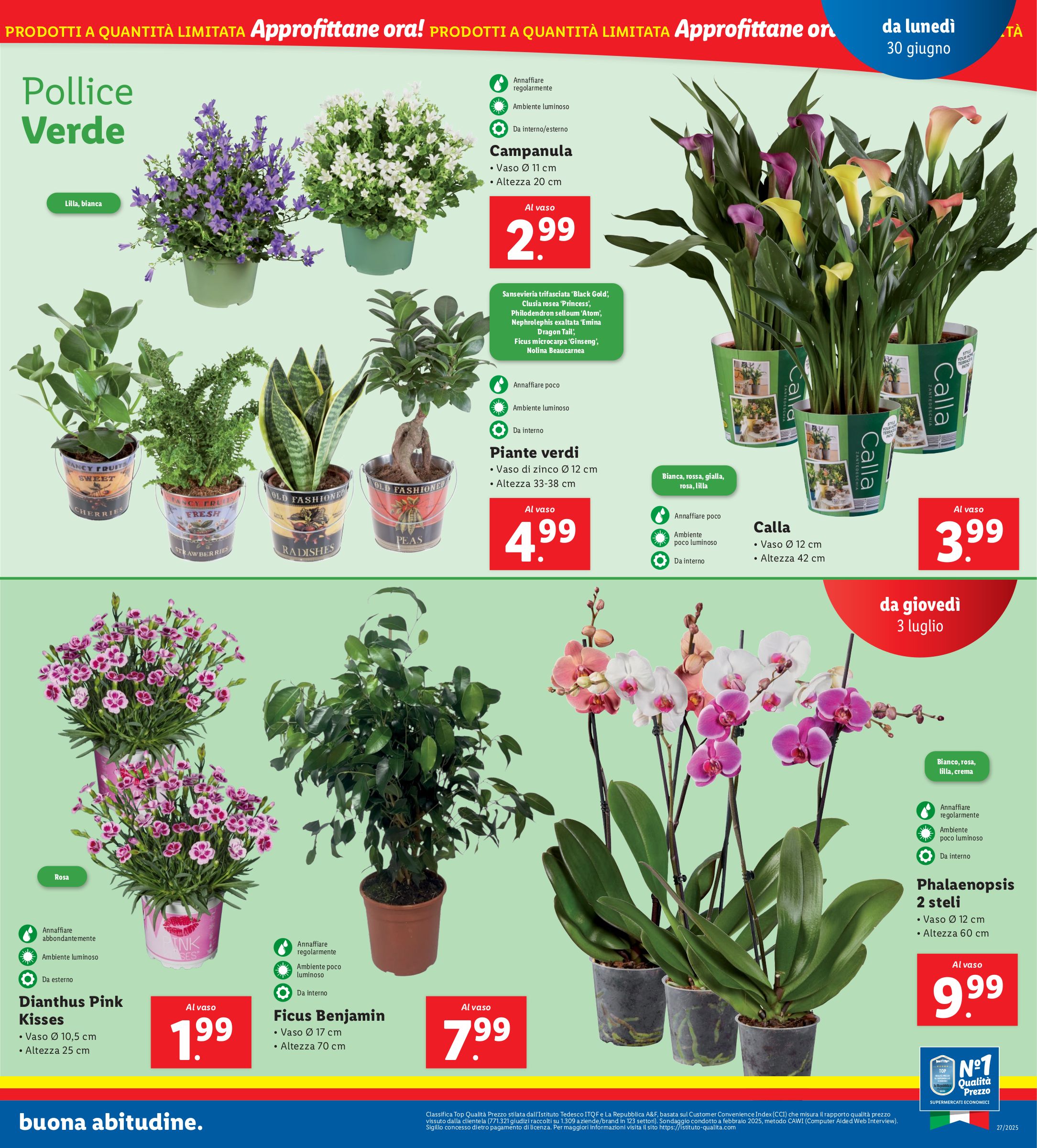 lidl - Volantino Lidl valido dal 30/06 al 06/07 - page: 13
