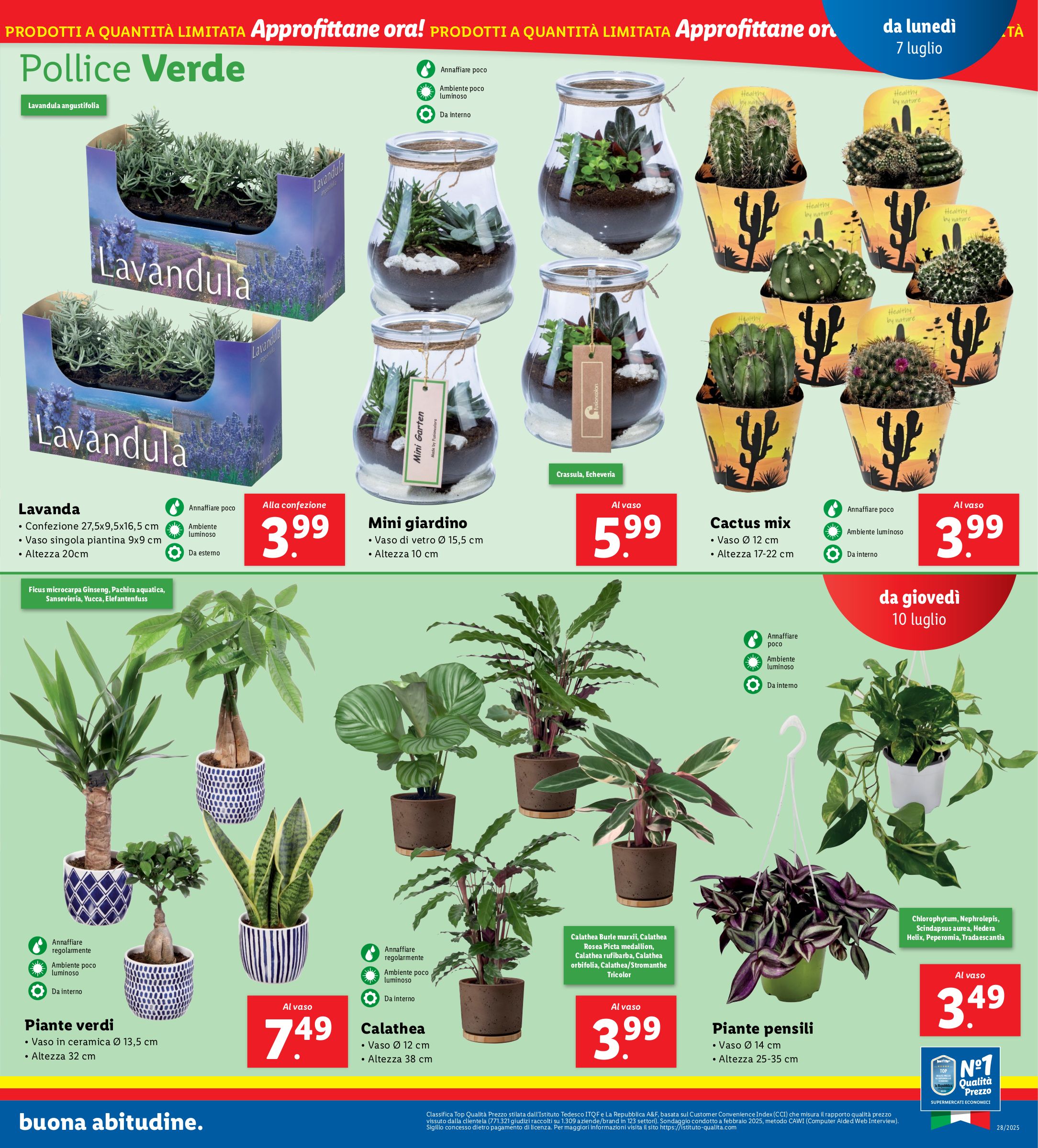lidl - Volantino Lidl valido dal 07/07 al 13/07 - page: 33