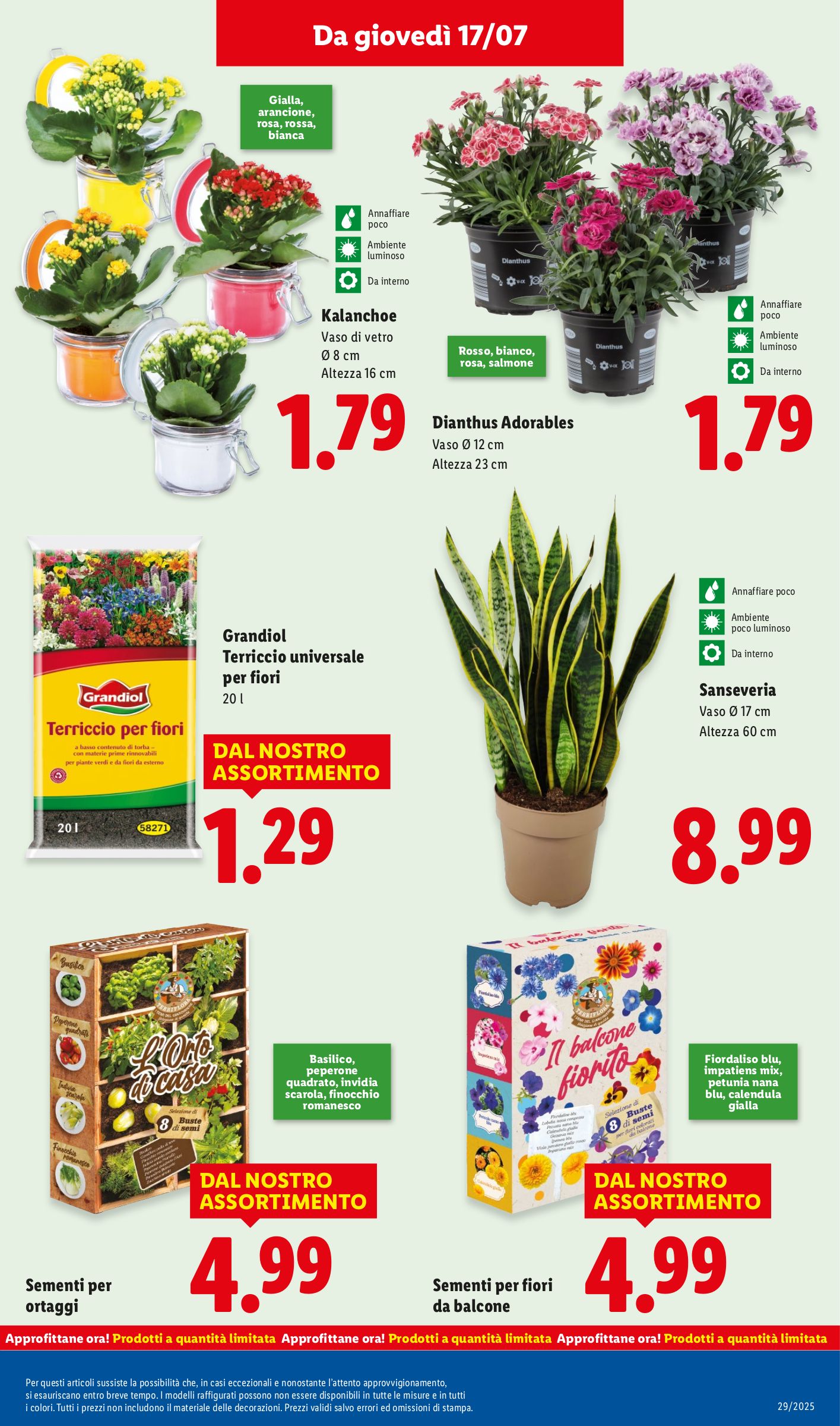 lidl - Volantino Lidl valido dal 14/07 al 20/07 - page: 37