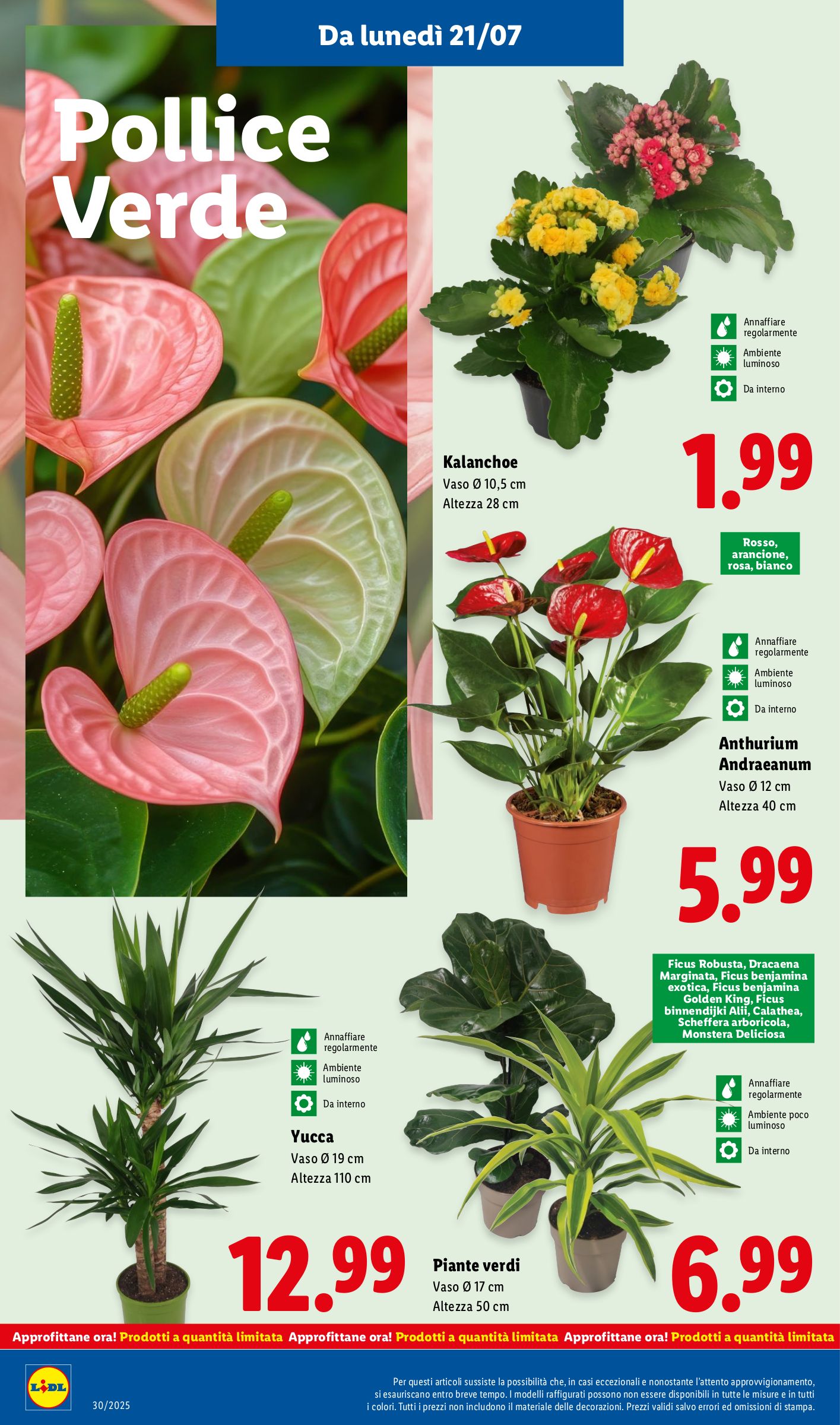 lidl - Volantino Lidl valido dal 21/07 al 27/07 - page: 30 lidl - Volantino Lidl valido dal 21/07 al 27/07 - page: 30