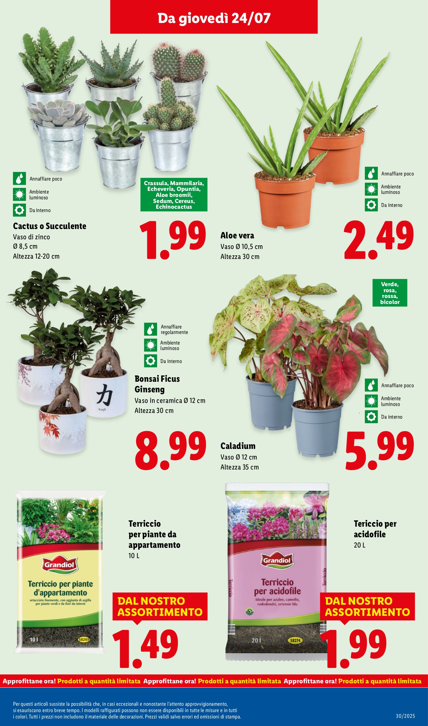 lidl - Volantino Lidl valido dal 21/07 al 27/07 - page: 31 lidl - Volantino Lidl valido dal 21/07 al 27/07 - page: 31