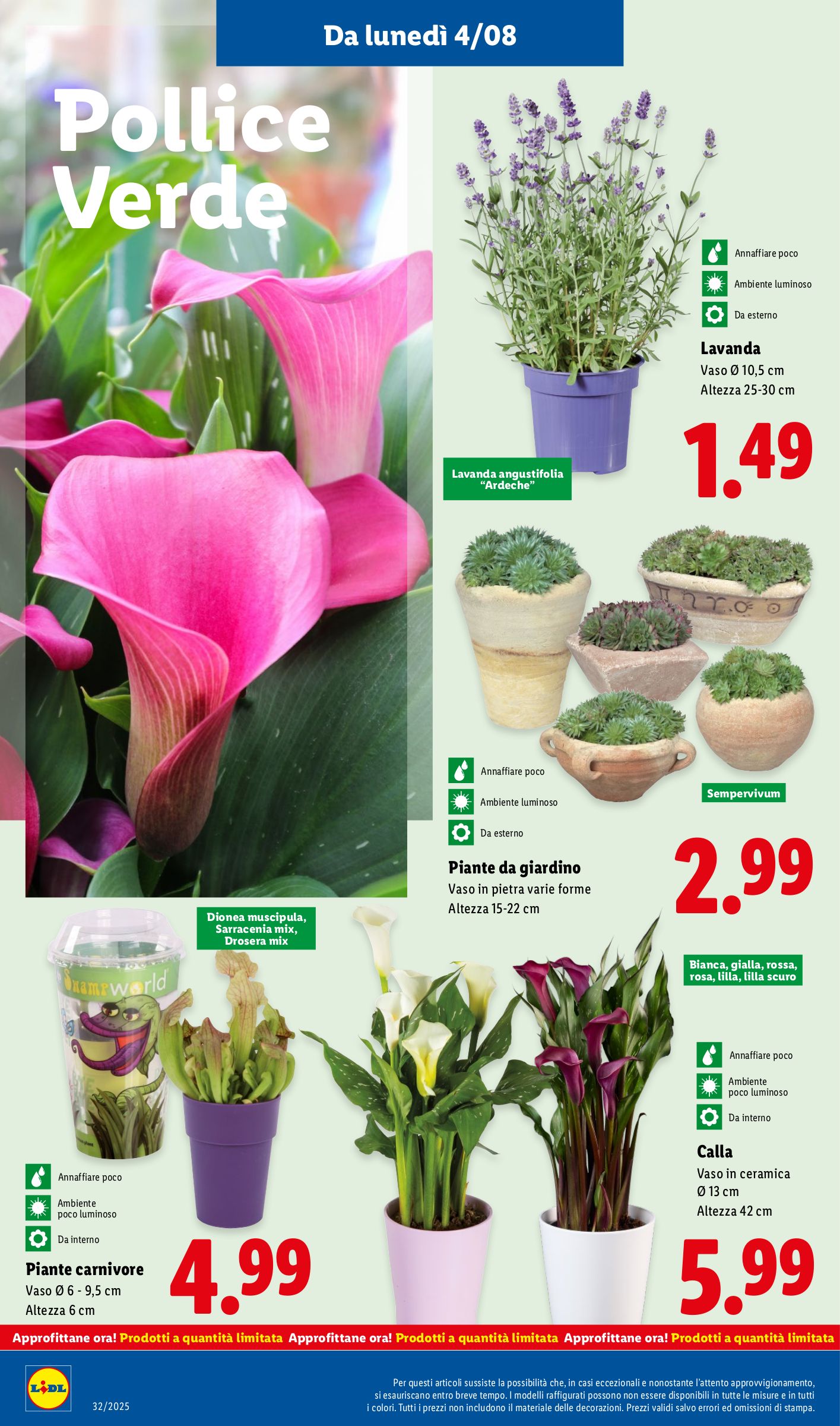 lidl - Volantino Lidl valido dal 04/08 al 10/08 - page: 36 lidl - Volantino Lidl valido dal 04/08 al 10/08 - page: 36