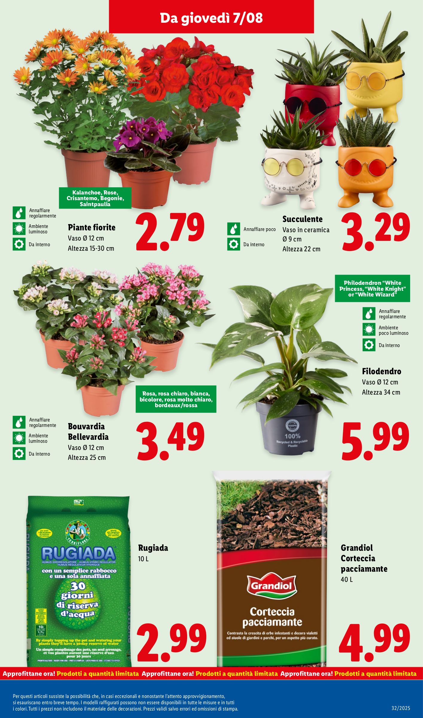 lidl - Volantino Lidl valido dal 04/08 al 10/08 - page: 37 lidl - Volantino Lidl valido dal 04/08 al 10/08 - page: 37