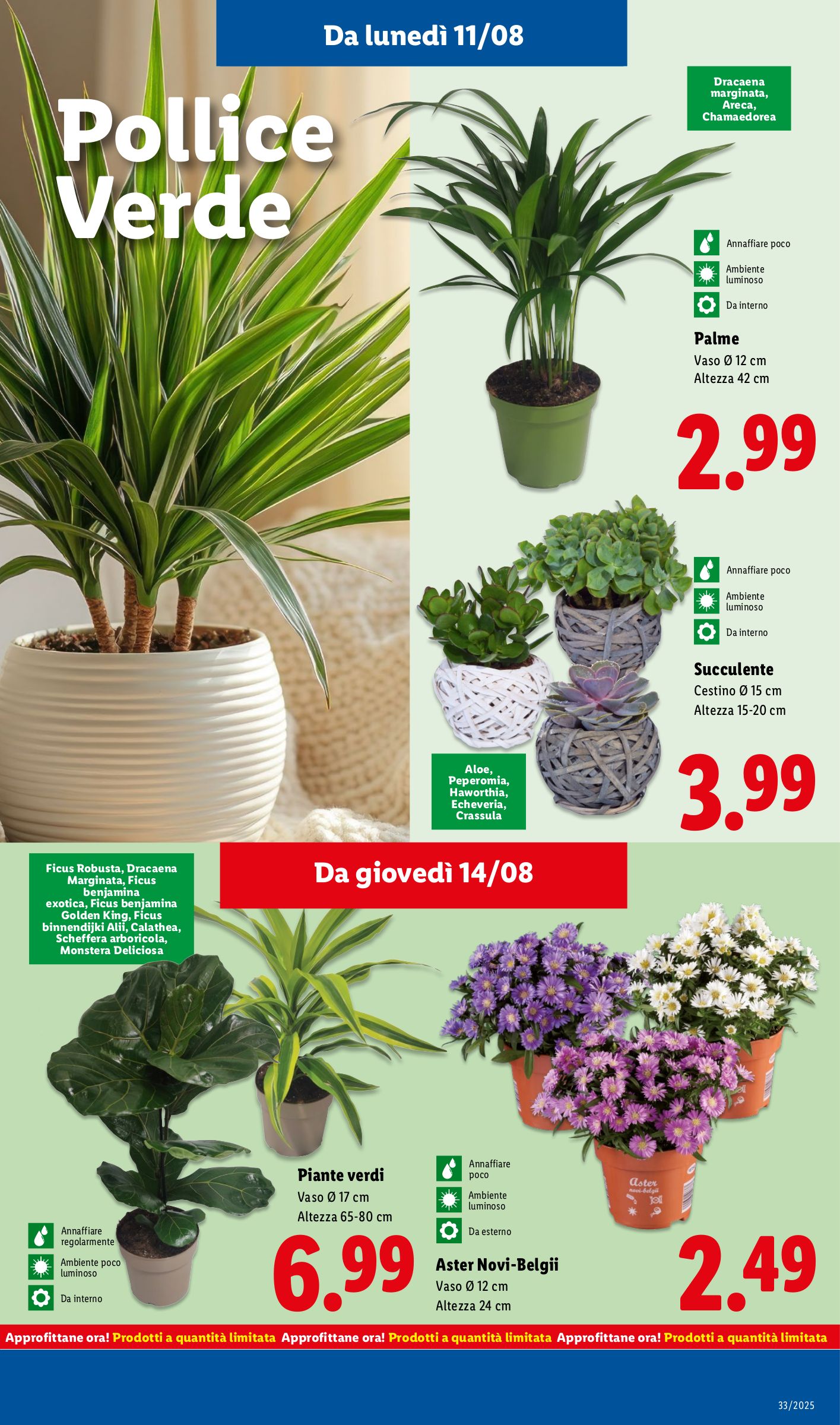 lidl - Volantino Lidl valido dal 11/08 al 17/08 - page: 41 lidl - Volantino Lidl valido dal 11/08 al 17/08 - page: 41