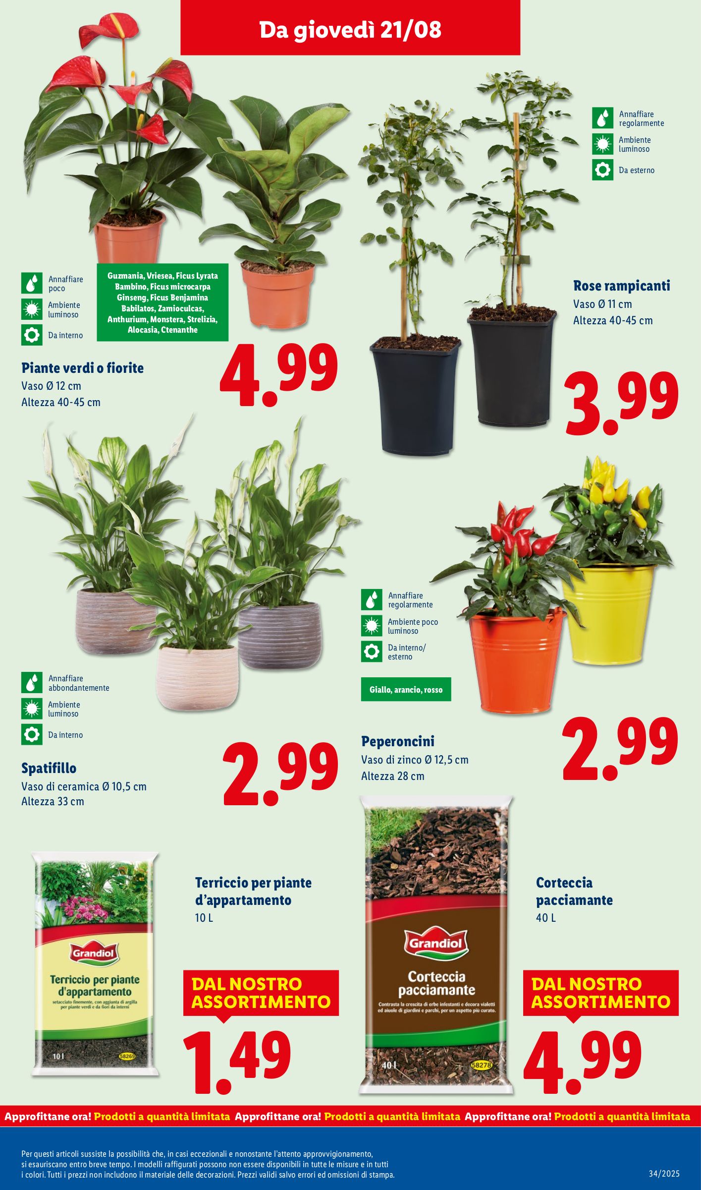 lidl - Volantino Lidl valido dal 18/08 al 24/08 - page: 37 lidl - Volantino Lidl valido dal 18/08 al 24/08 - page: 37