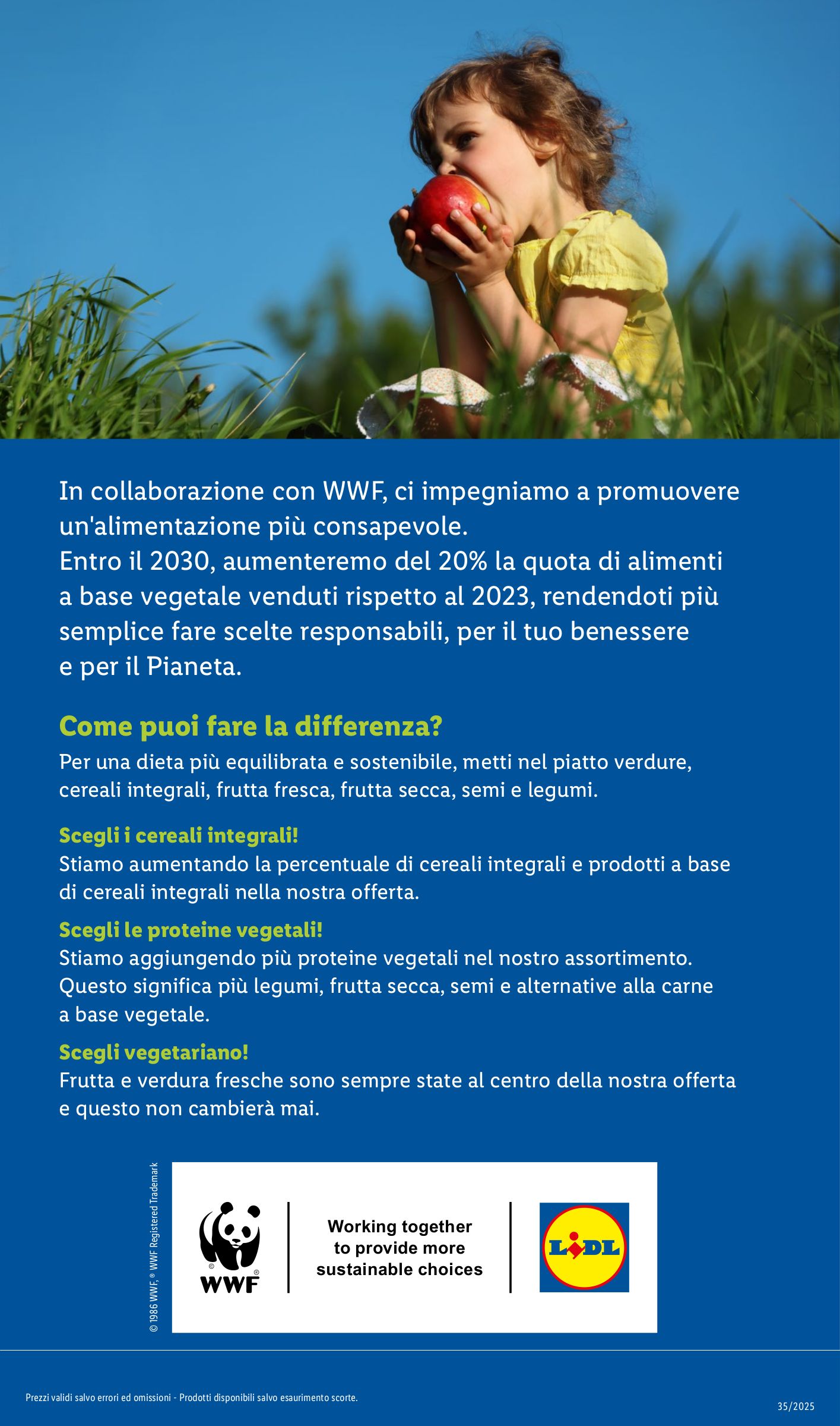 lidl - Volantino Lidl valido dal 25/08 al 31/08 - page: 29 lidl - Volantino Lidl valido dal 25/08 al 31/08 - page: 29