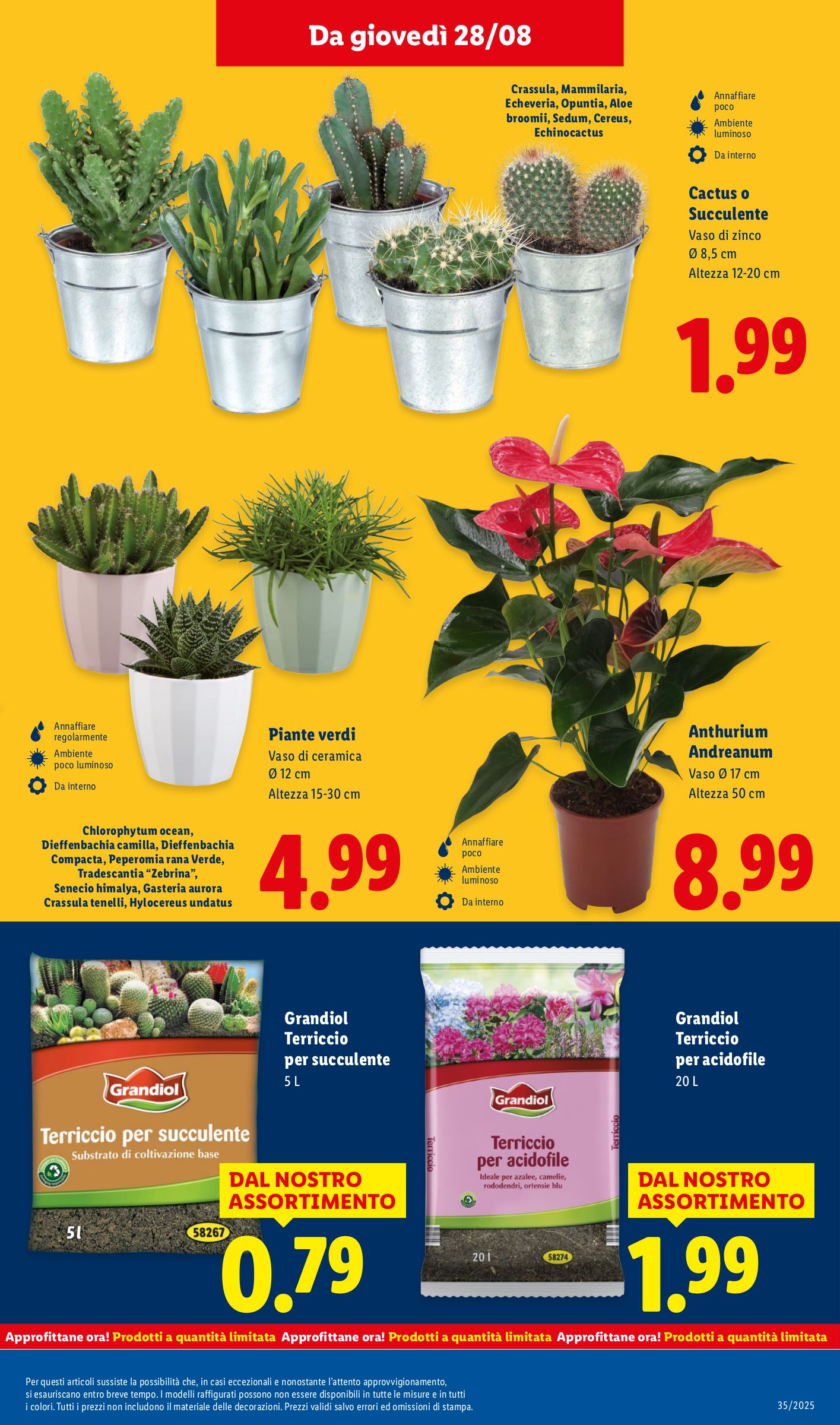 lidl - Volantino Lidl valido dal 25/08 al 31/08 - page: 37 lidl - Volantino Lidl valido dal 25/08 al 31/08 - page: 37