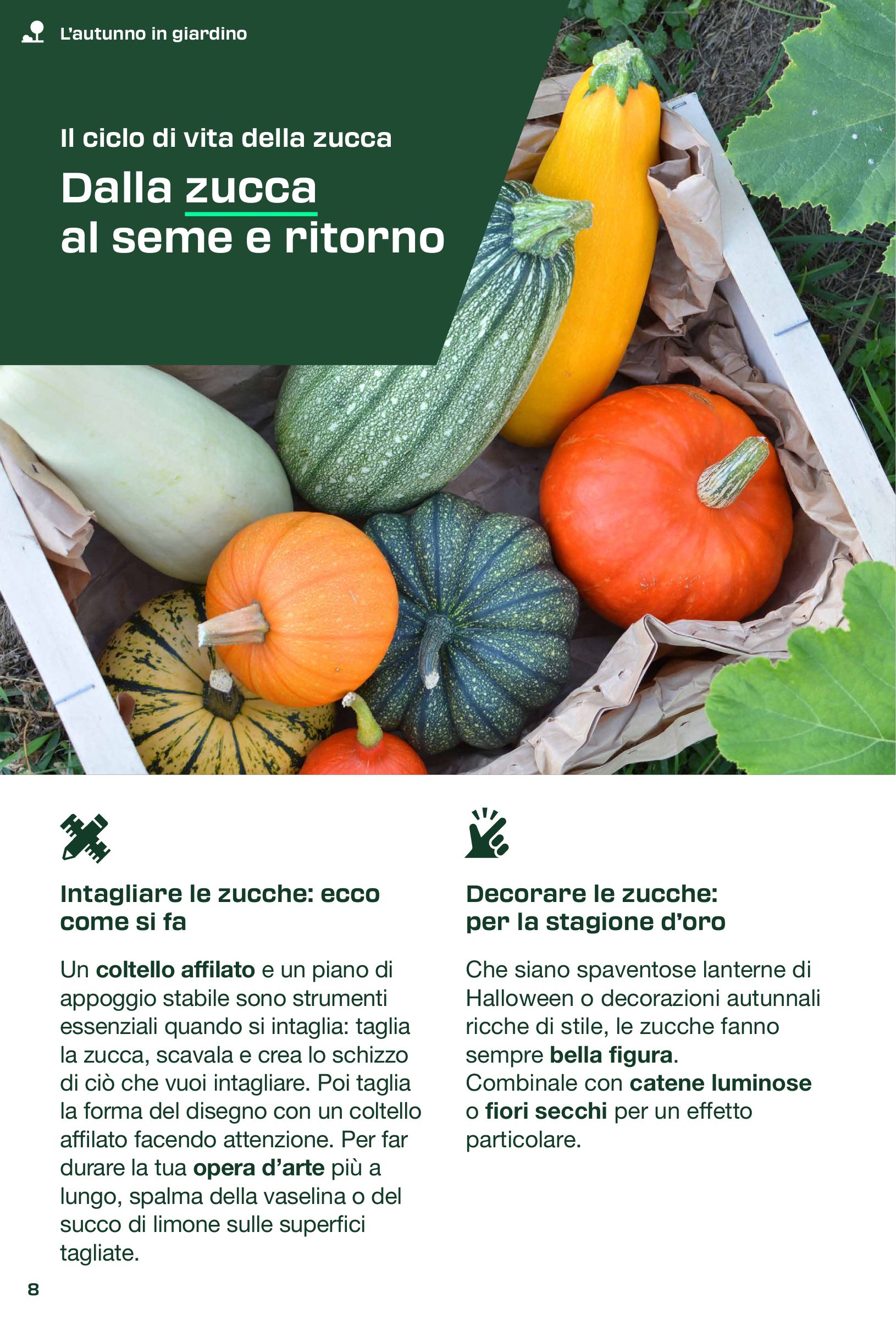 lidl - Volantino Lidl - La rivista del fai da te valido dal 31/08 al 30/11 - page: 8