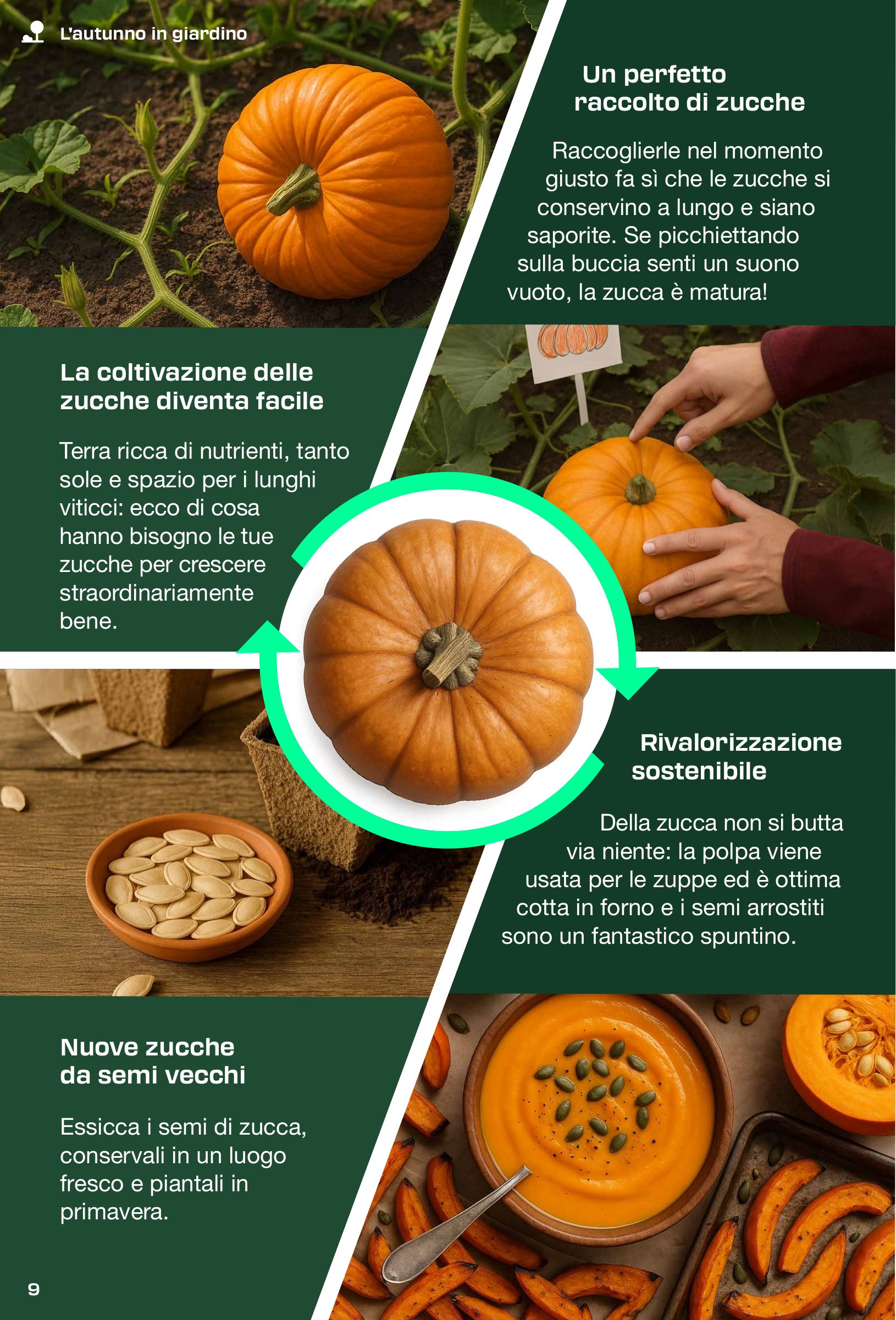 lidl - Volantino Lidl - La rivista del fai da te valido dal 31/08 al 30/11 - page: 9