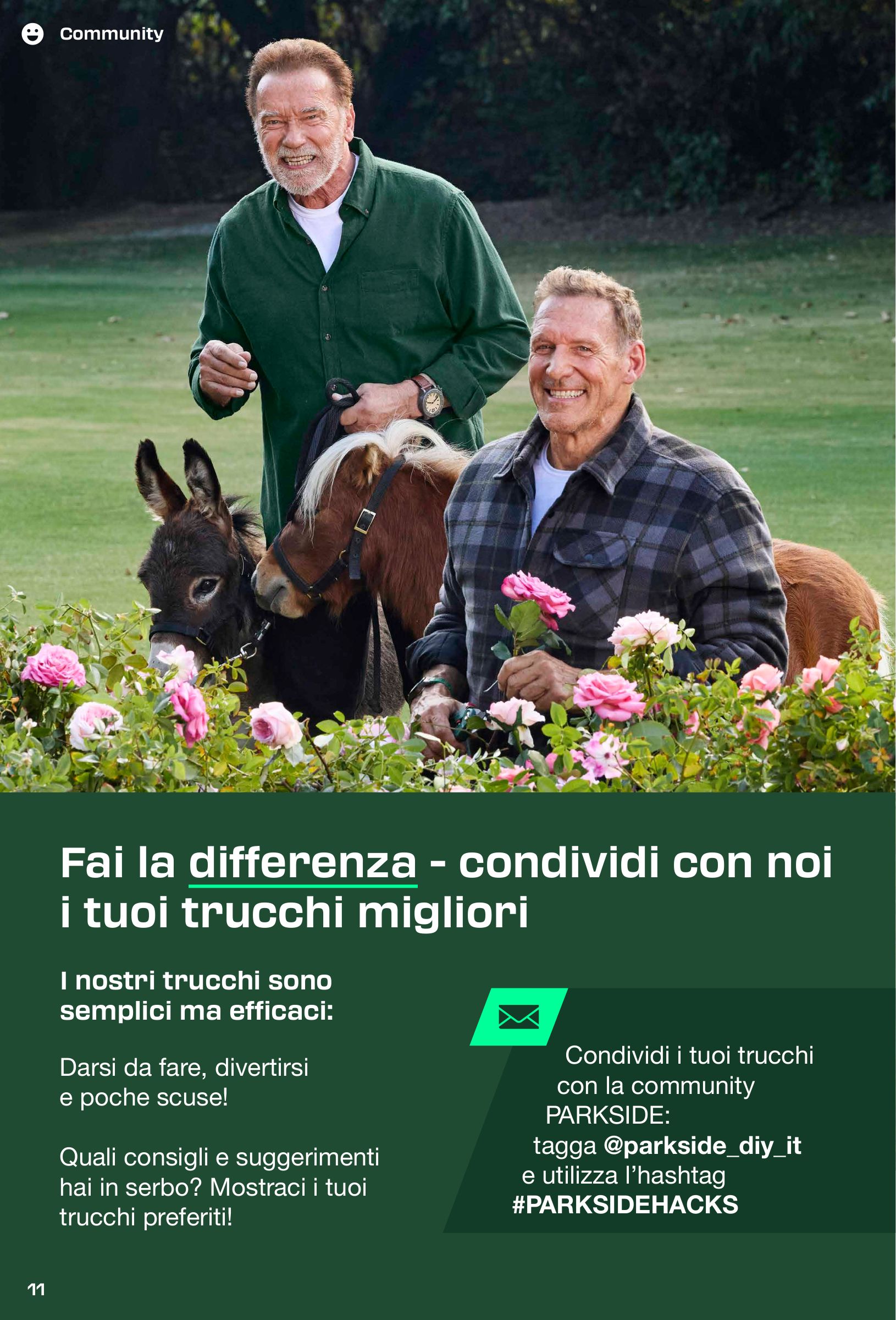 lidl - Volantino Lidl - La rivista del fai da te valido dal 31/08 al 30/11 - page: 11