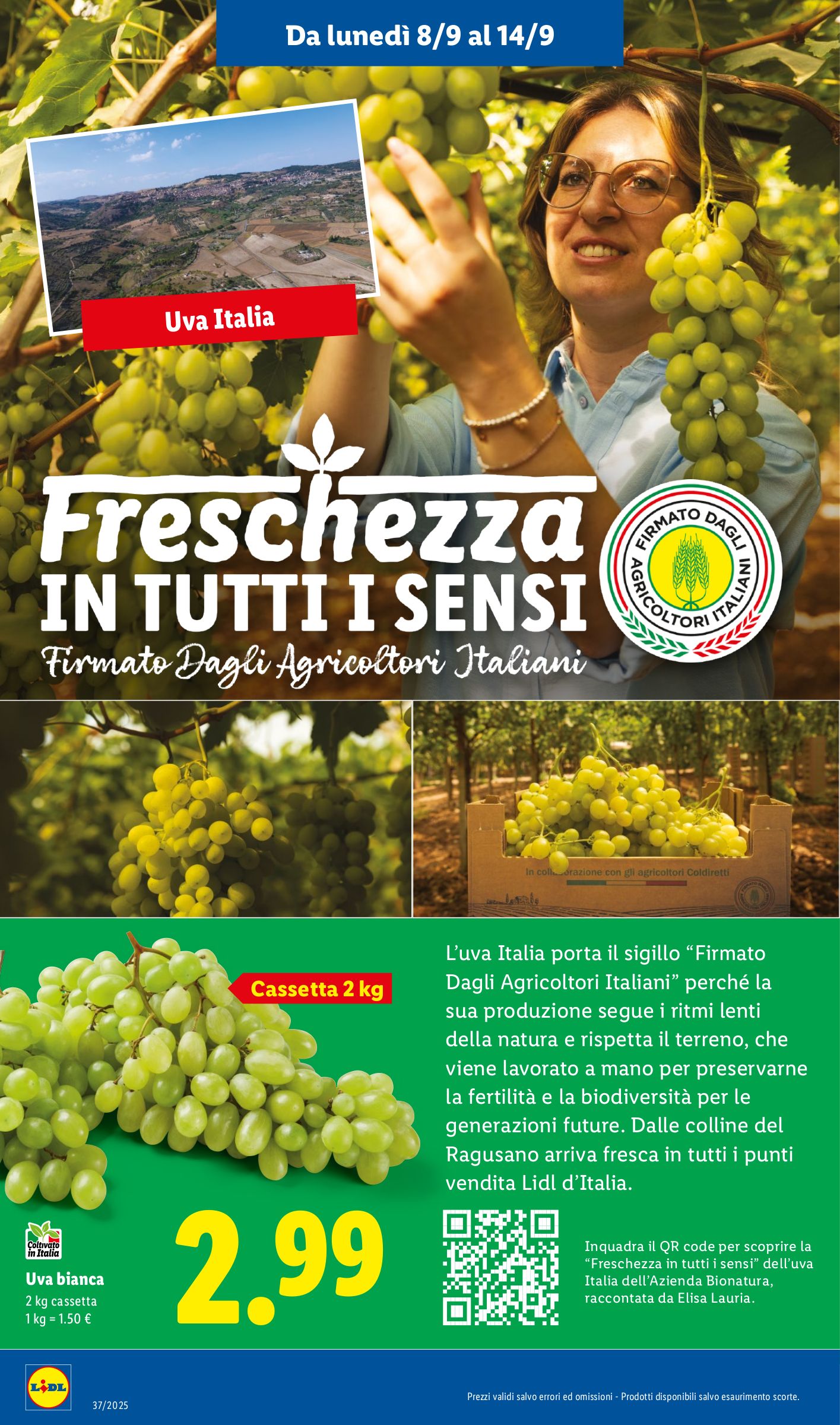 lidl - Volantino Lidl valido dal 08/09 al 14/09 - page: 2 lidl - Volantino Lidl valido dal 08/09 al 14/09 - page: 2